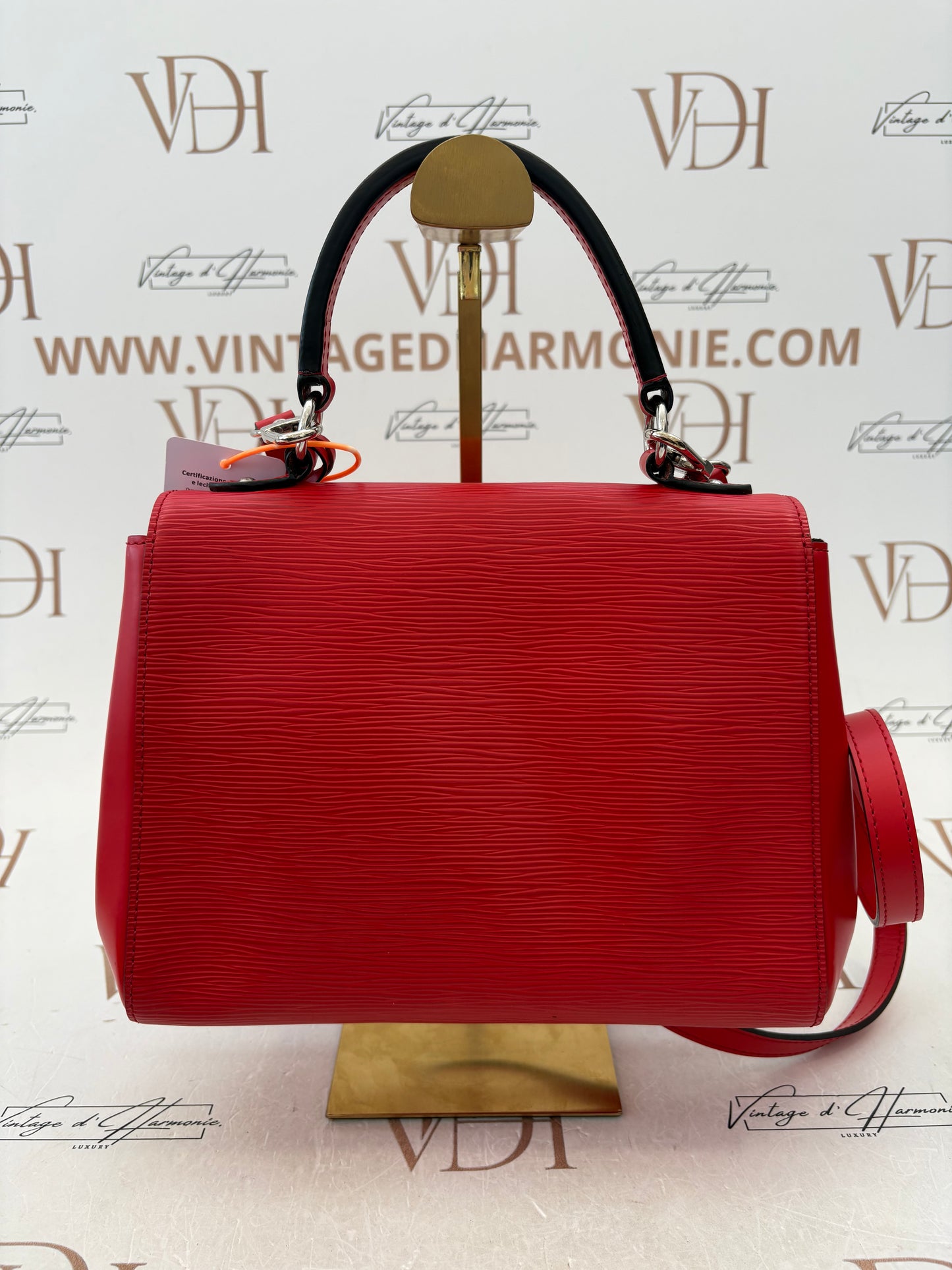 383413 - Louis Vuitton ClunyBB