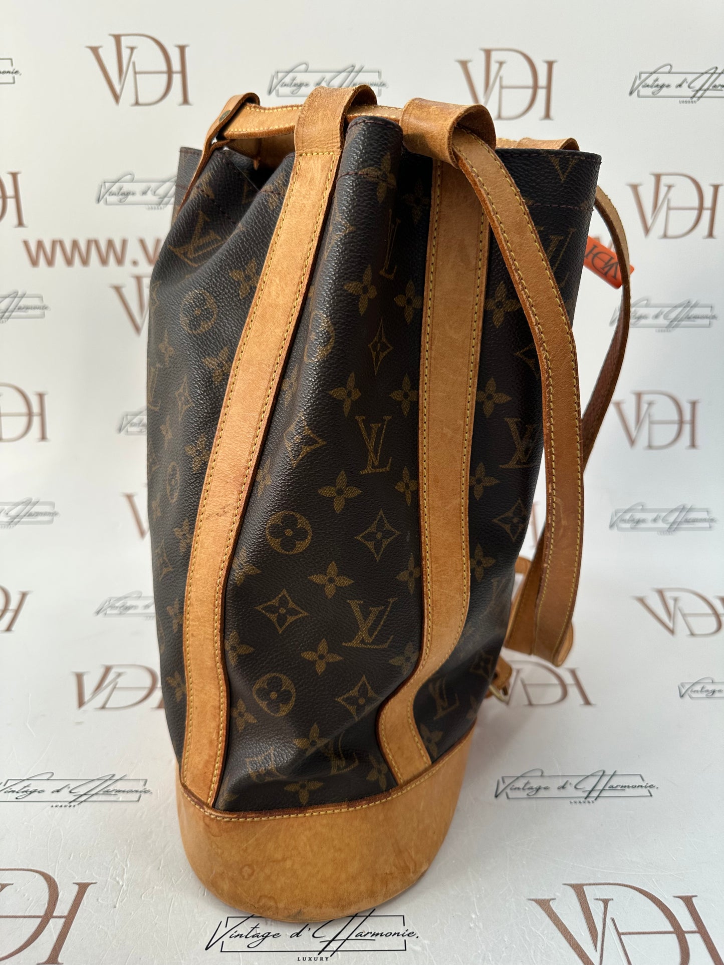 017806 - Louis Vuitton Randonne PM