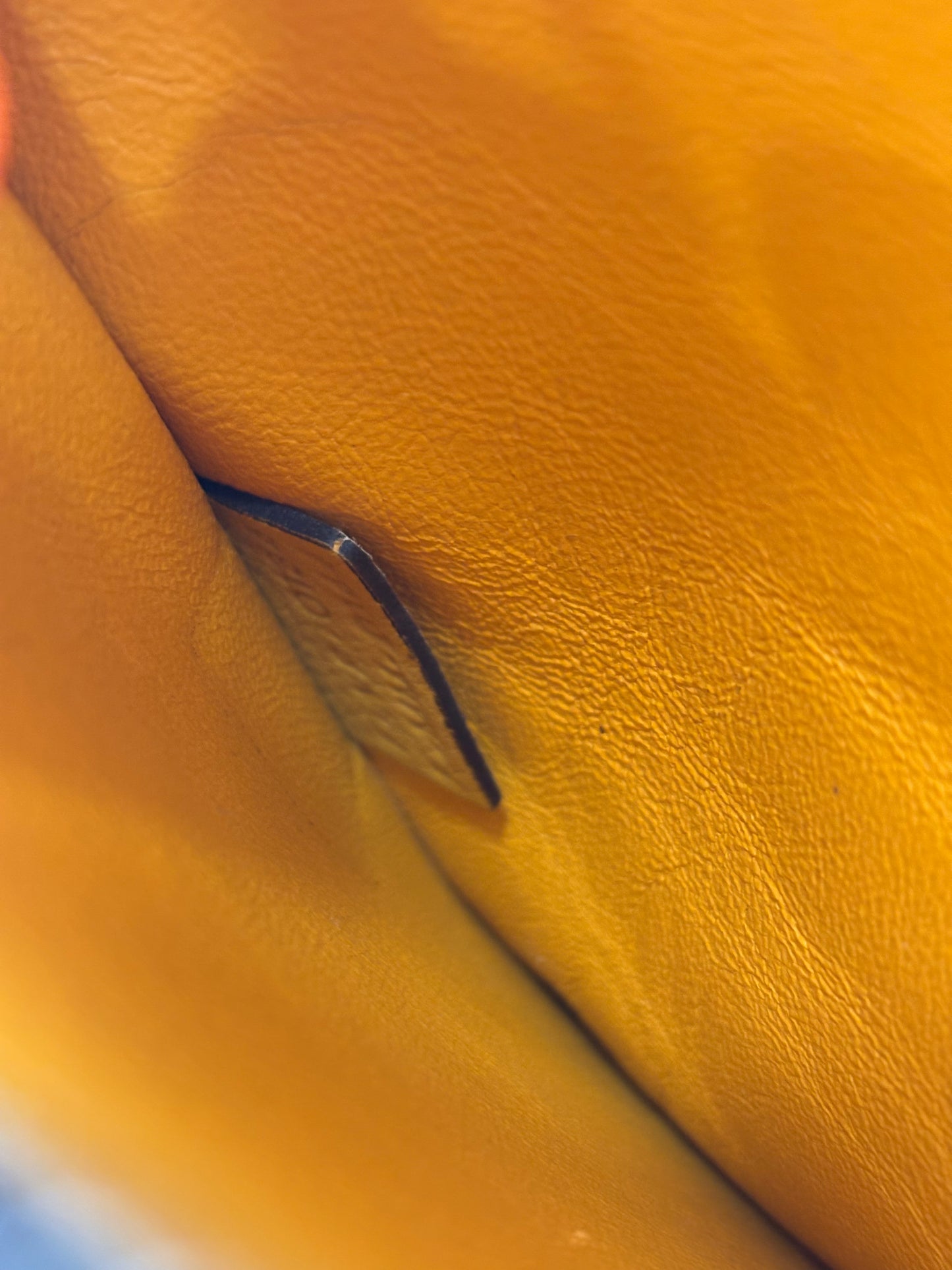 200898 - Céline Trapeze