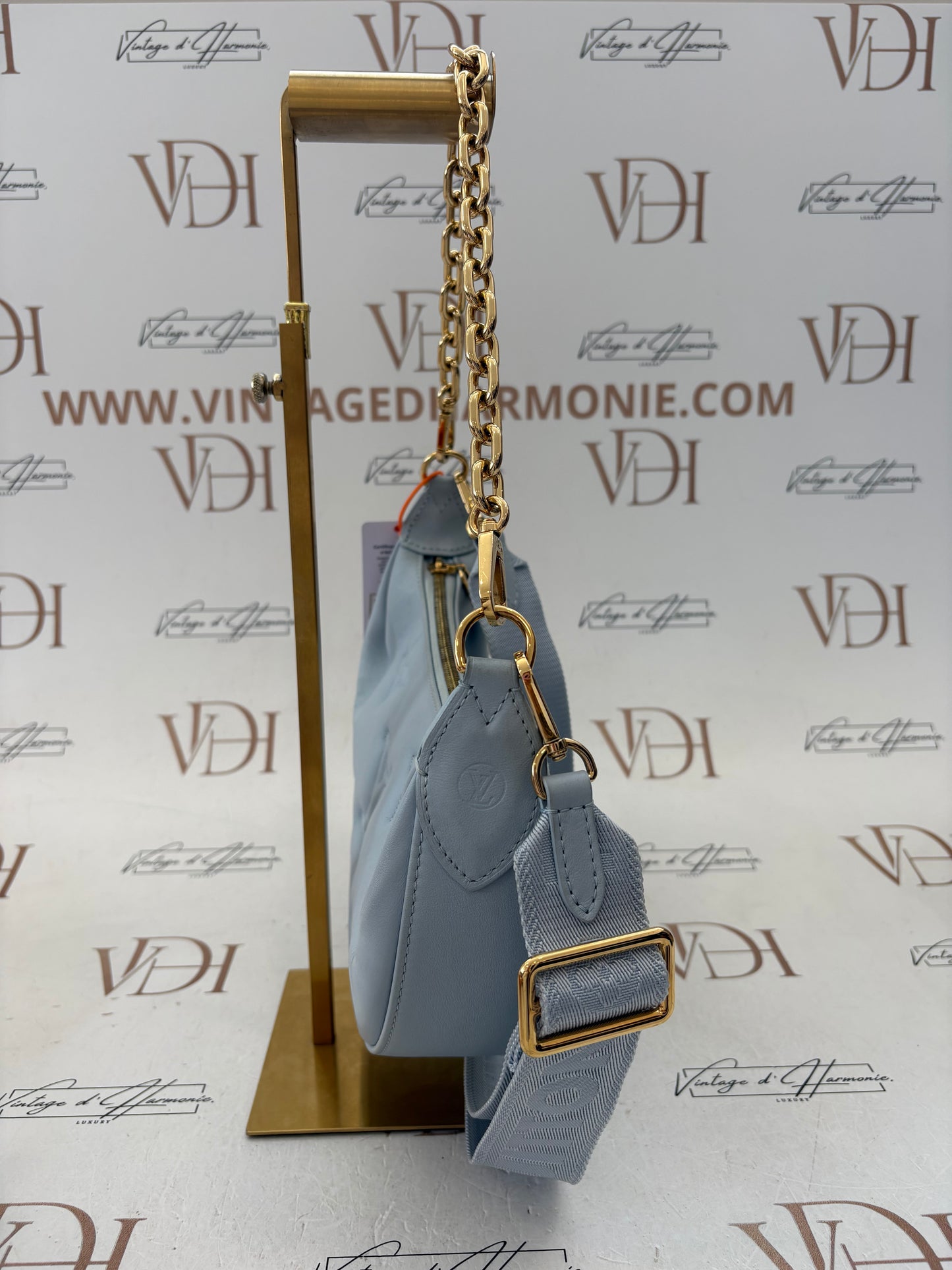 018554 - Louis Vuitton Light Blue Bubblegram Over The Moon