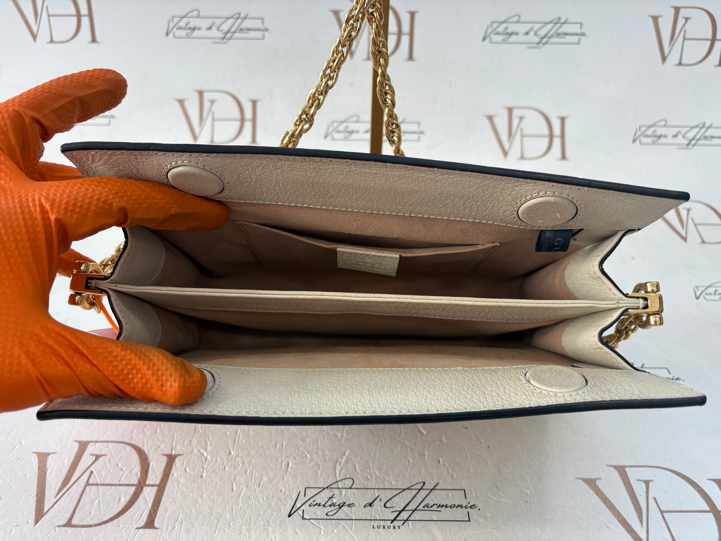 201447 - Gucci Ophidia