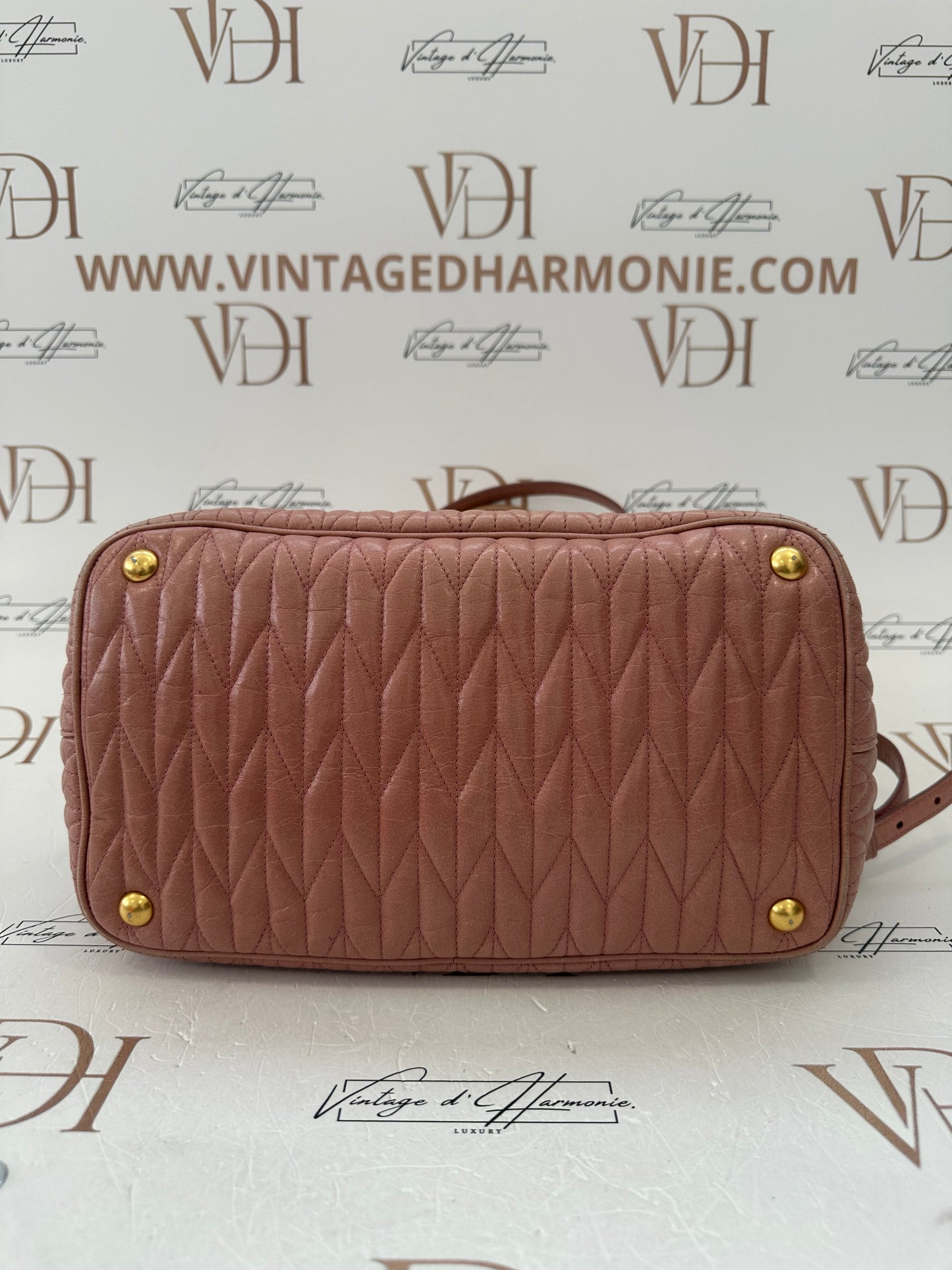 102195 - Miu Miu Bag