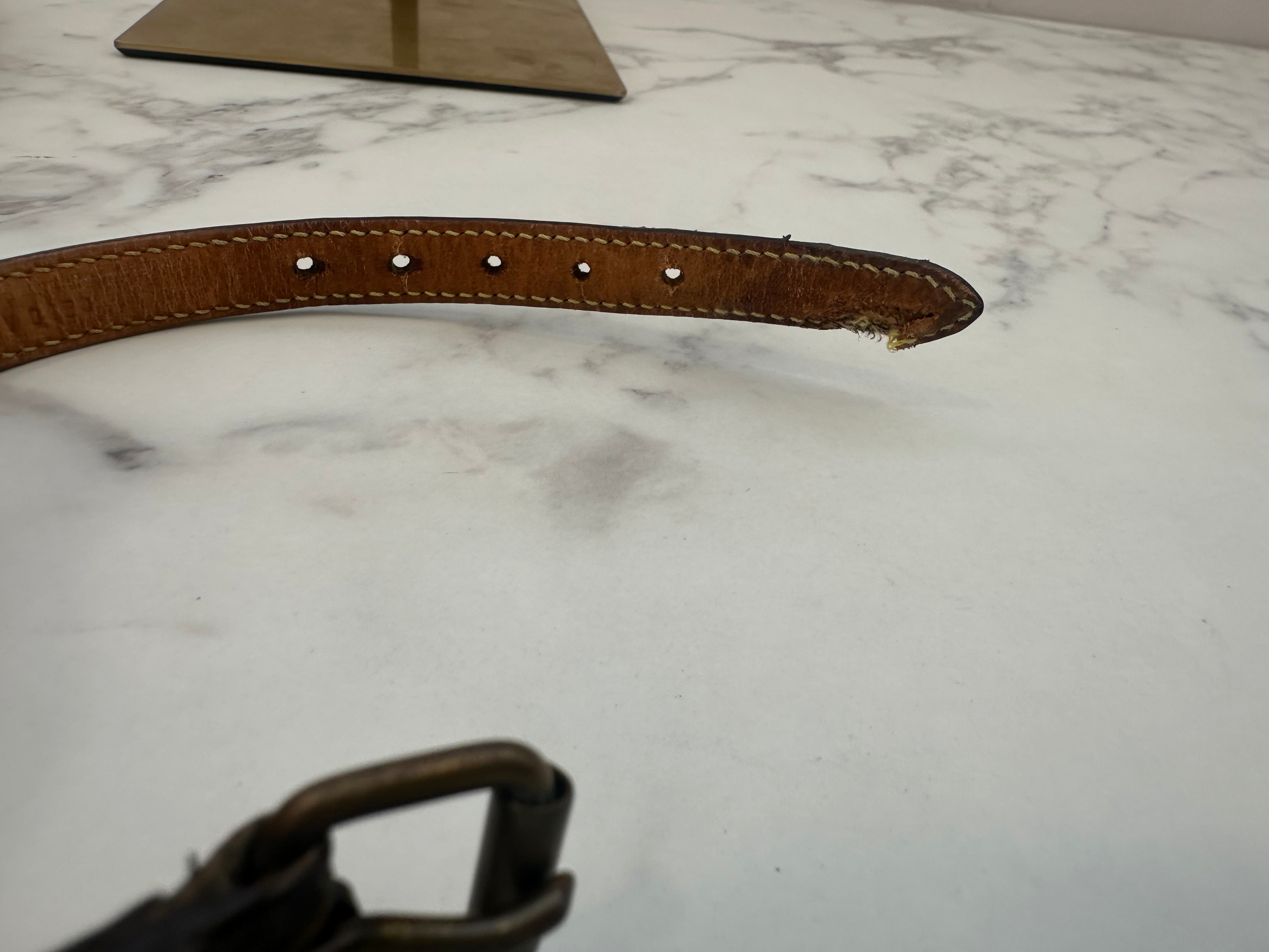 Louis Vuitton Collare+Guinzaglio