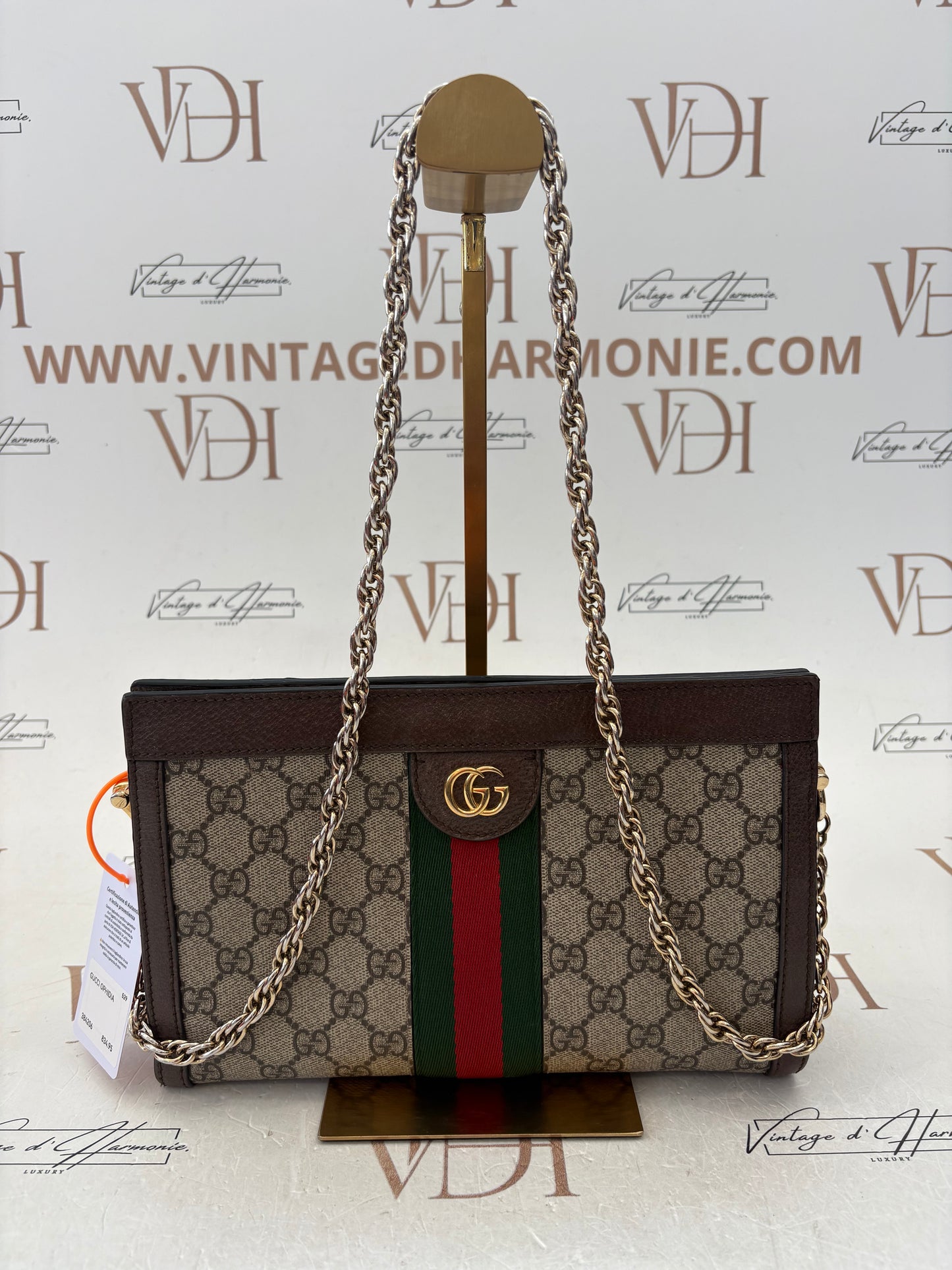384206 - Gucci Ophidia
