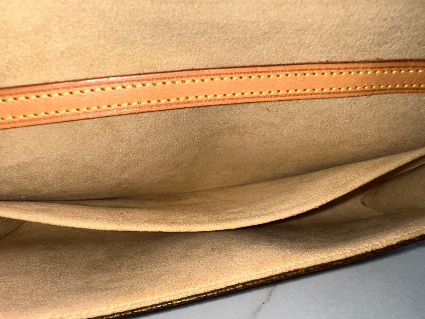 Louis Vuitton Pochette Twin GM