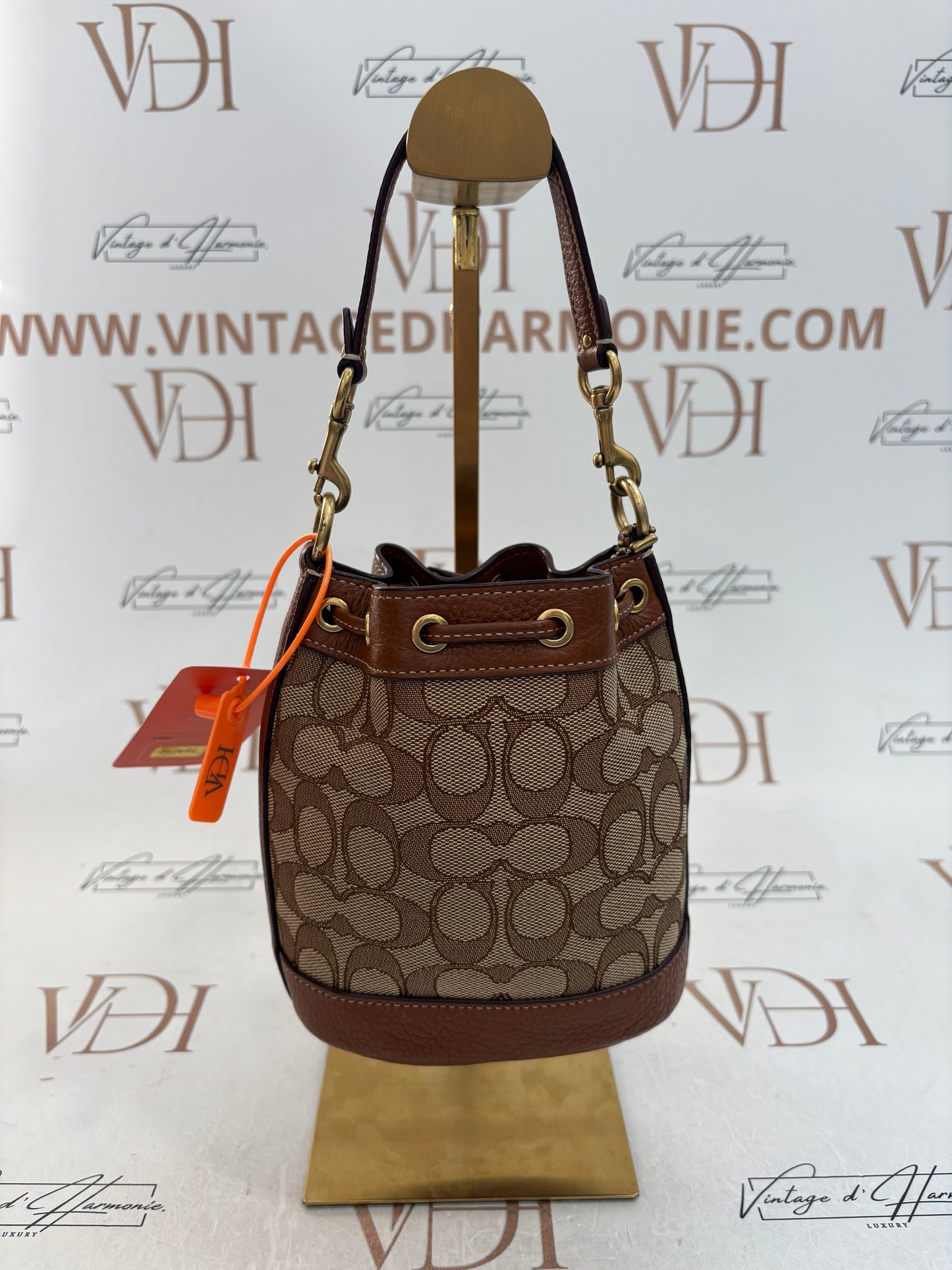 382692 - Coach Disney