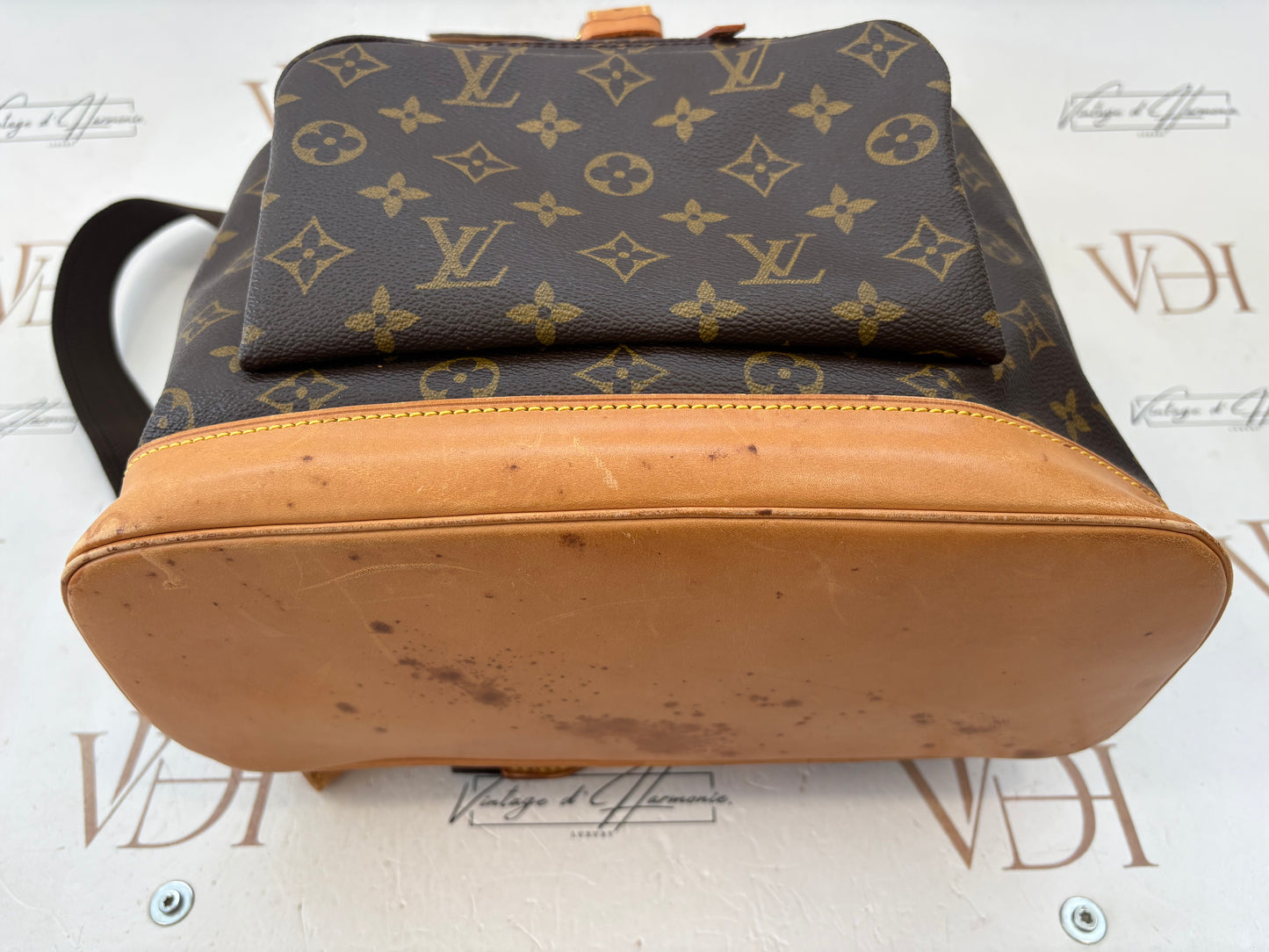 018398 - Louis Vuitton Montsouris GM