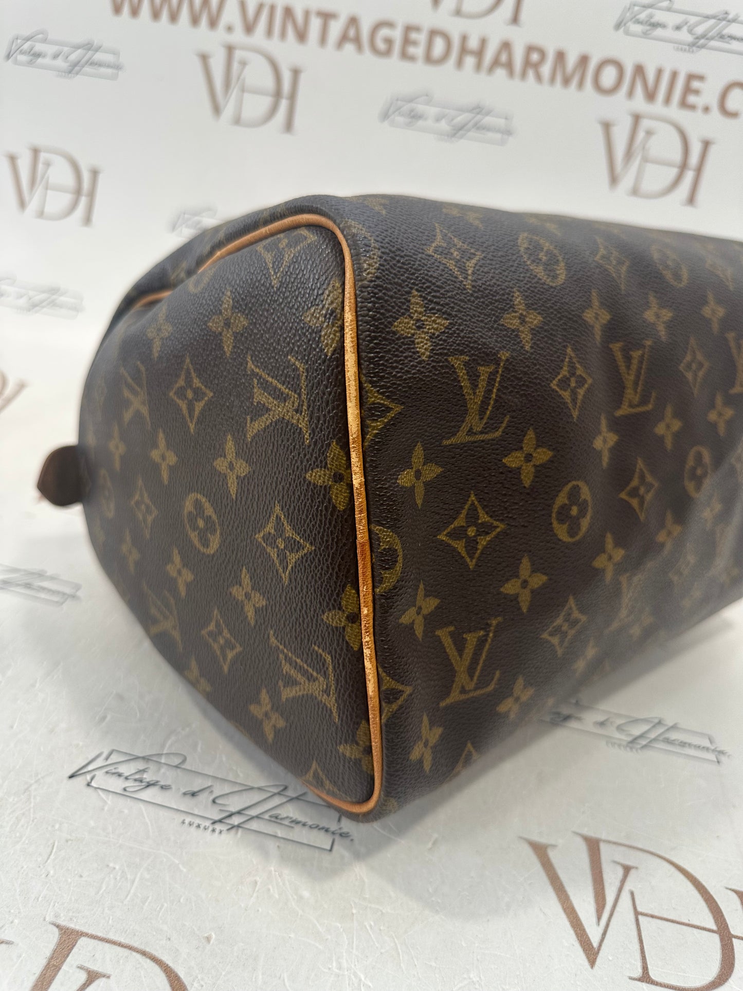 018723 - Louis Vuitton Speedy 30