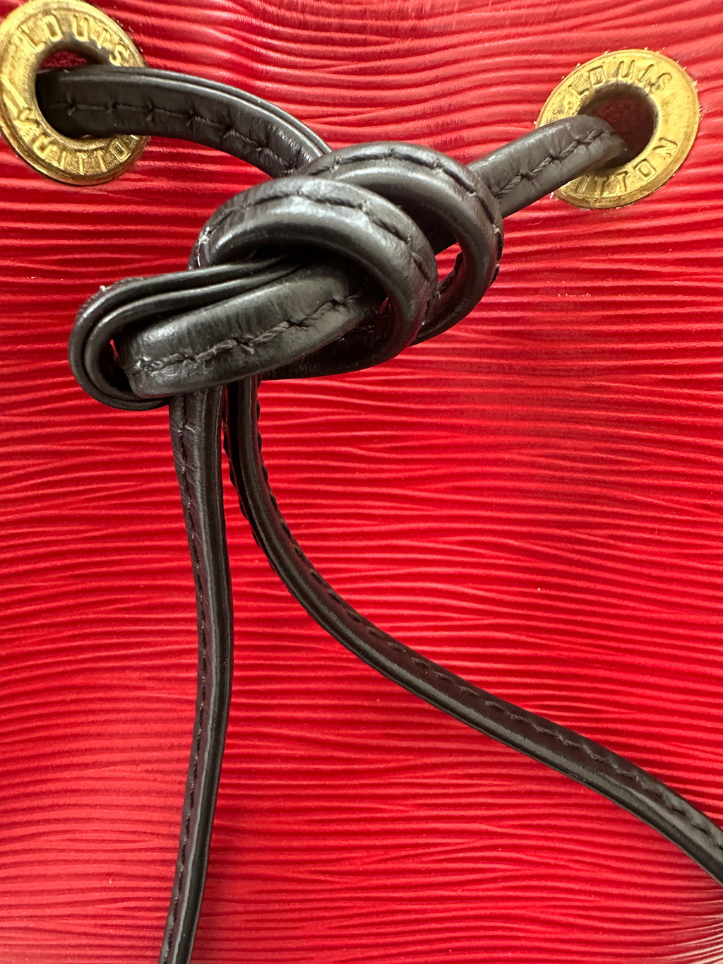 Louis Vuitton Petite Noé Epi Bicolor