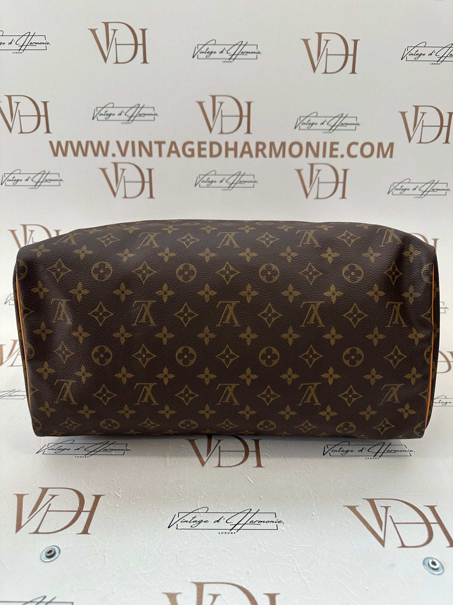 017920 - Louis Vuitton Speedy 40