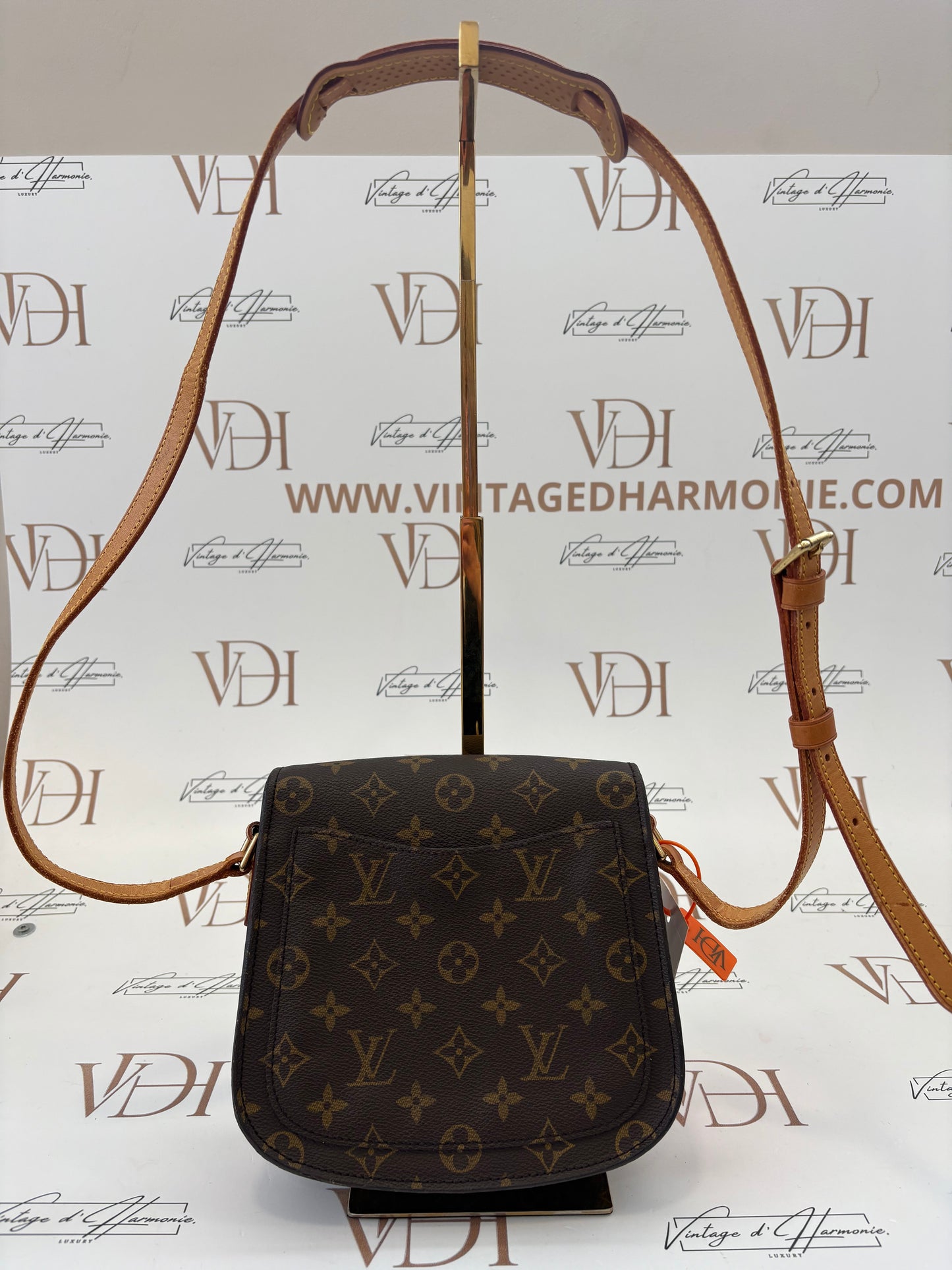 018936- Louis Vuitton Sain T cloud MM