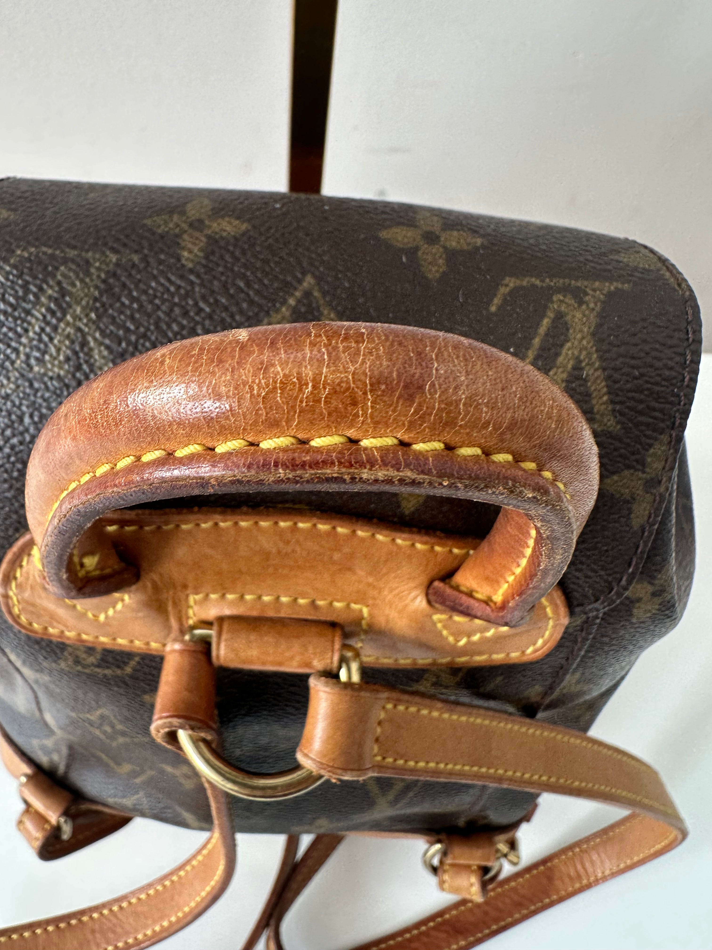 Louis Vuitton Montsouris Mini