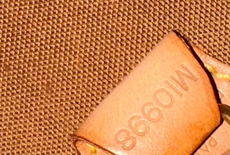 Louis Vuitton Ellipse PM