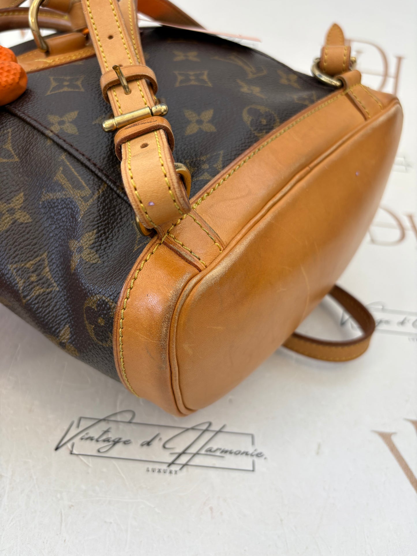 018858 - Louis Vuitton Mini Montsouris