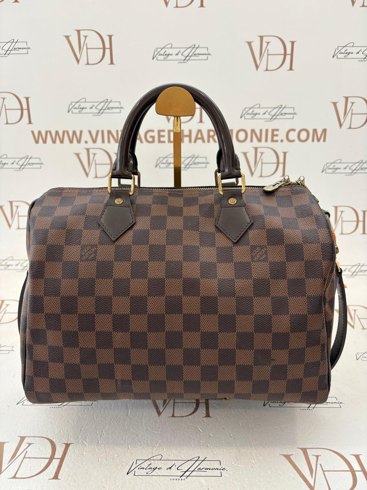 201773 - Louis Vuitton Speedy 30