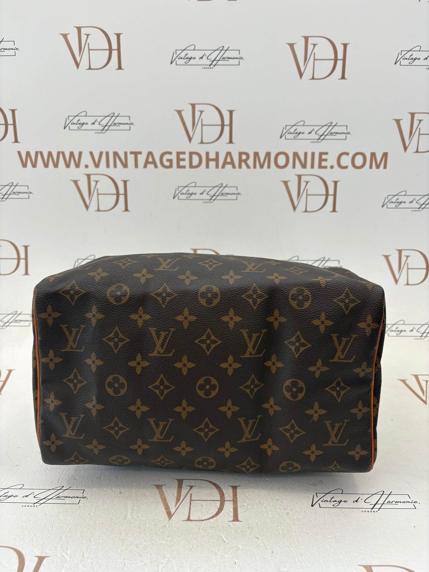 201793 - Louis Vuitton Speedy 30