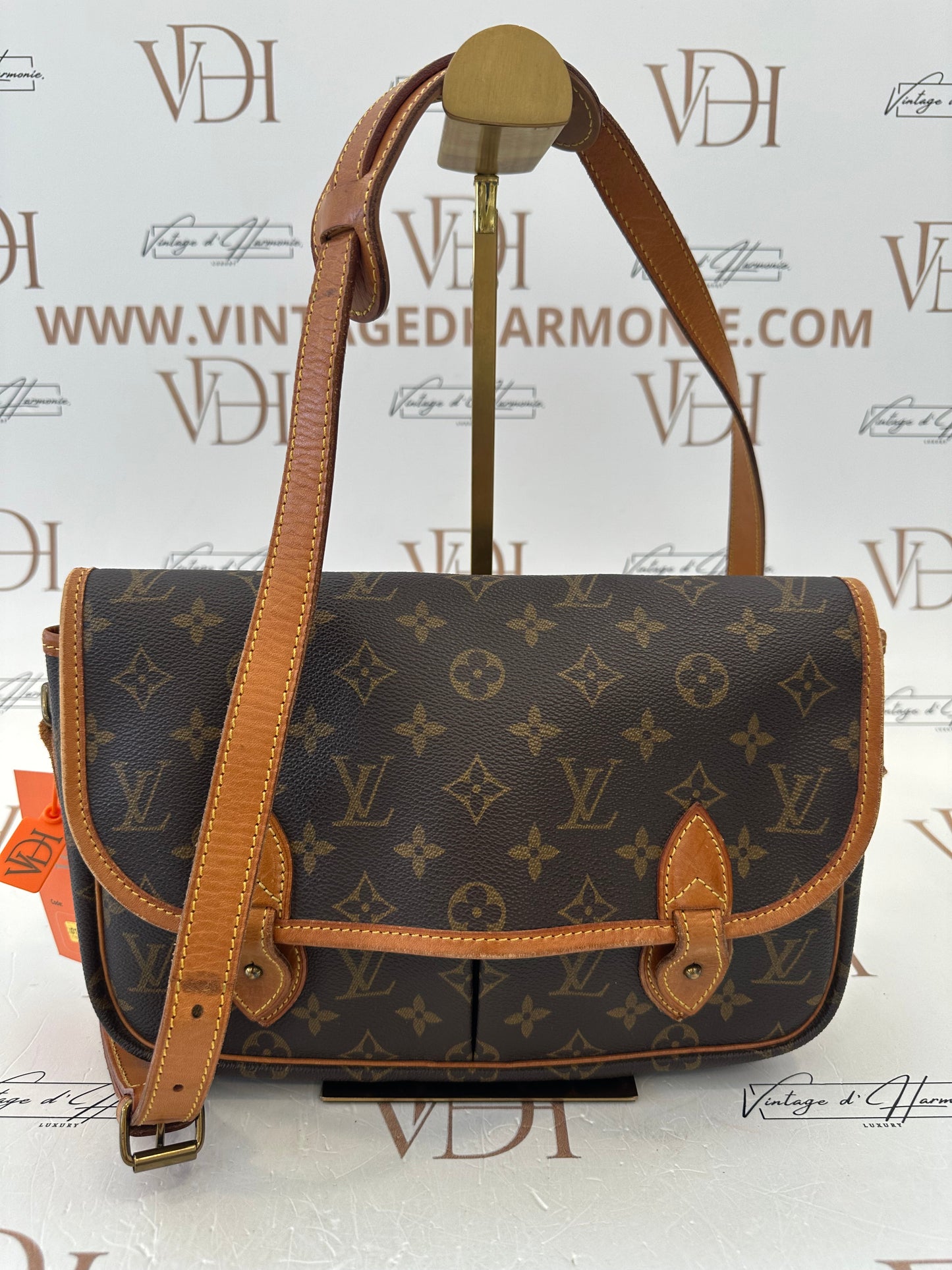 017830 - Louis Vuitton Gibeciere MM