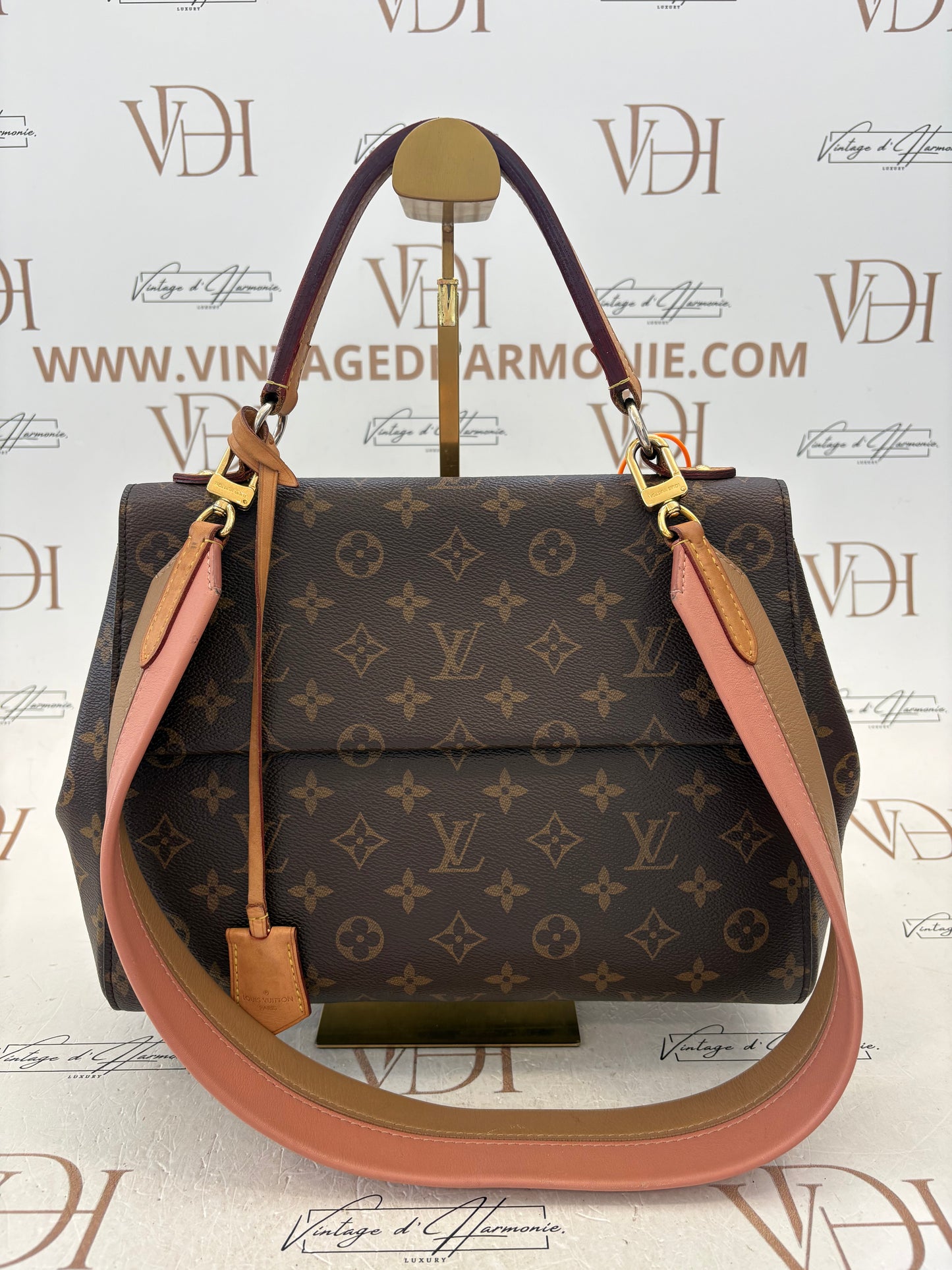 201487 - Louis Vuitton Cluny