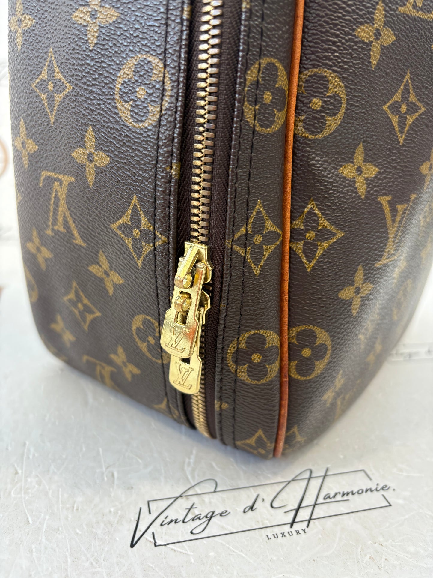 200979 - Louis Vuitton Excursion”