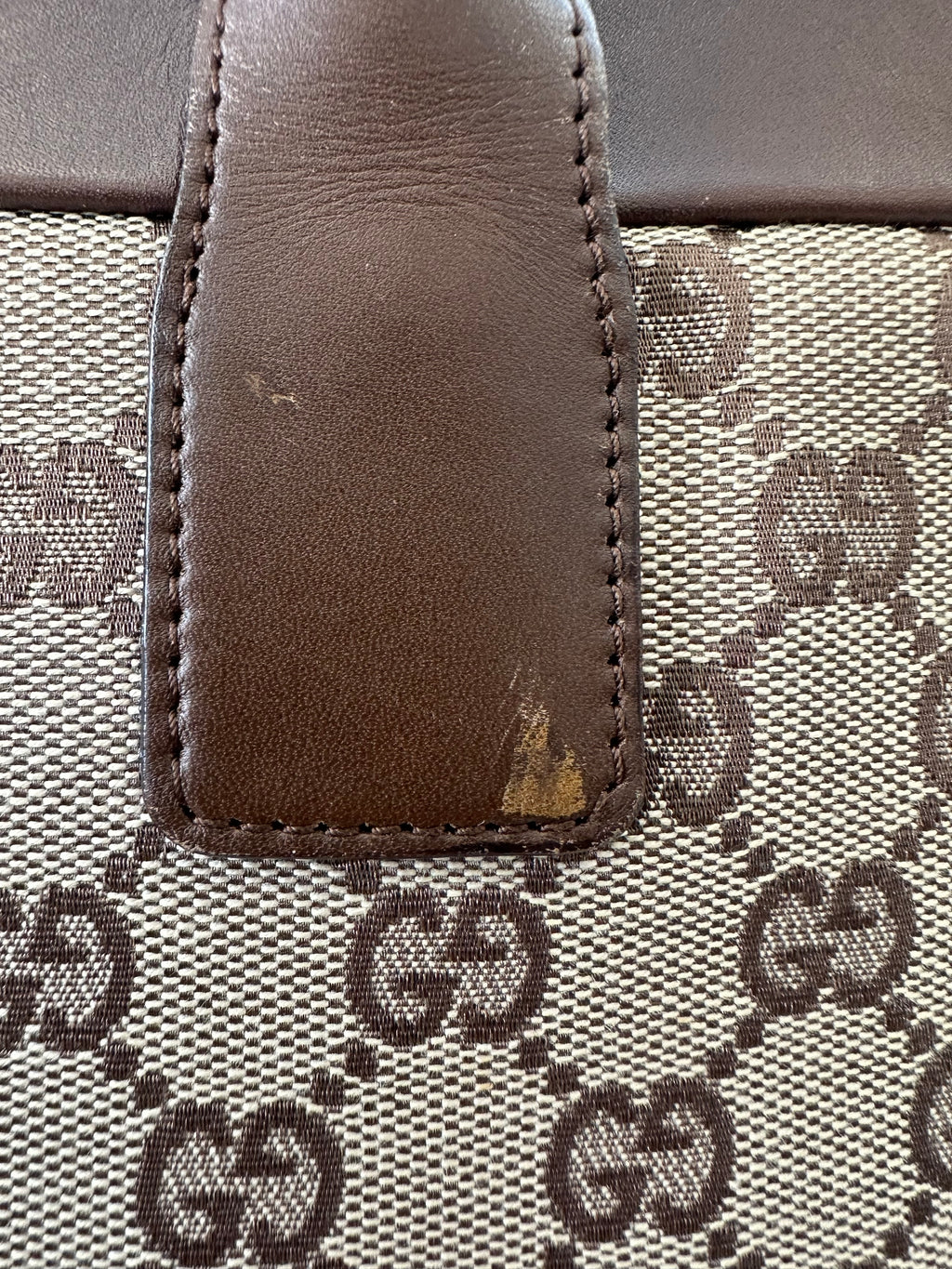 Gucci GG Canvas