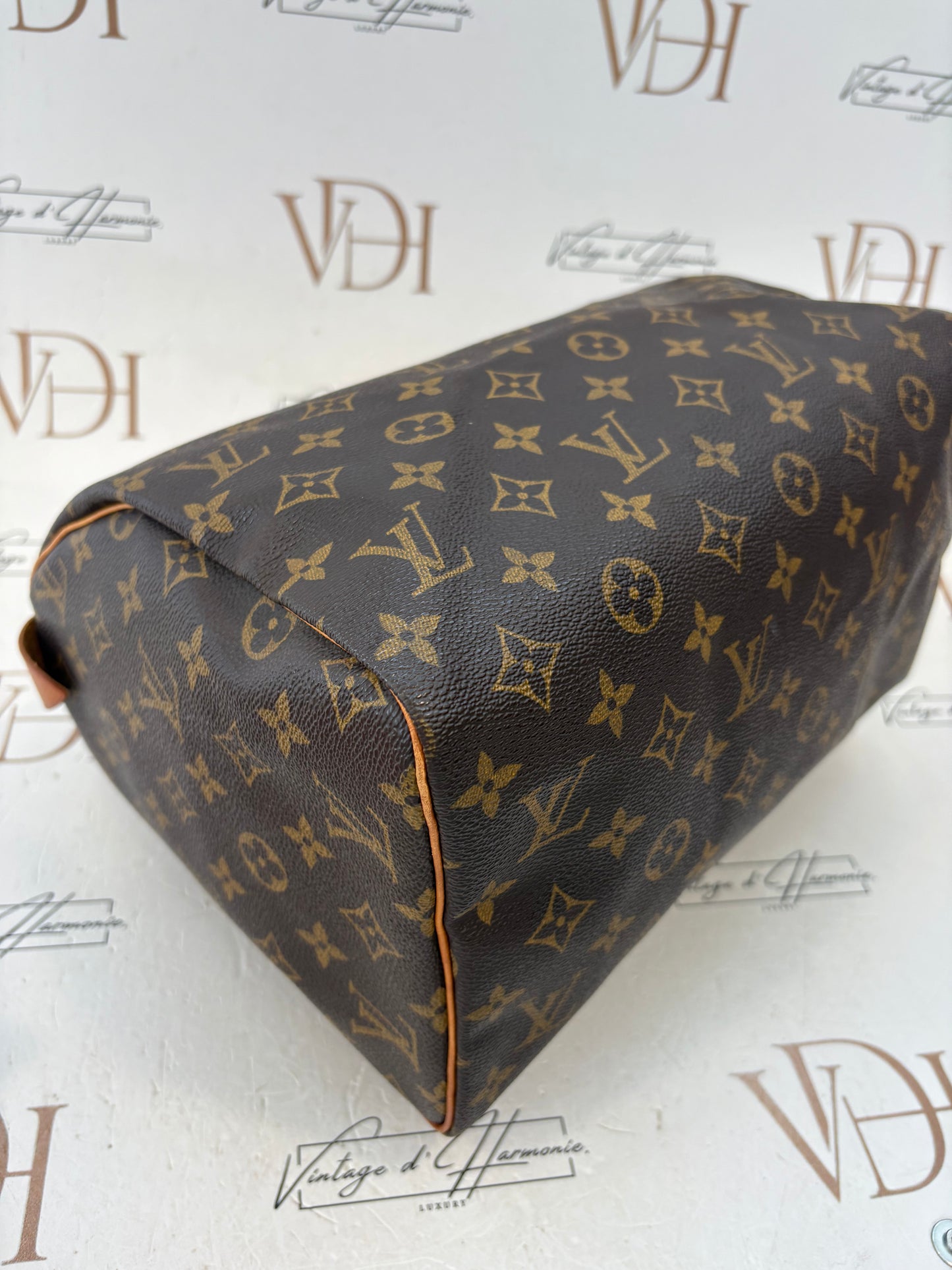 018559 - Louis Vuitton Speedy 30