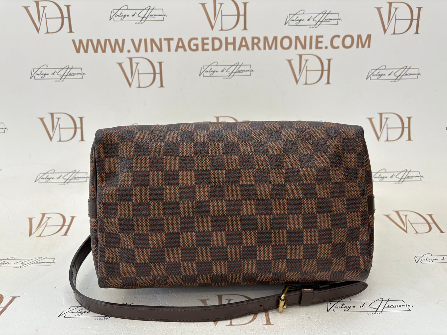 201773 - Louis Vuitton Speedy 30