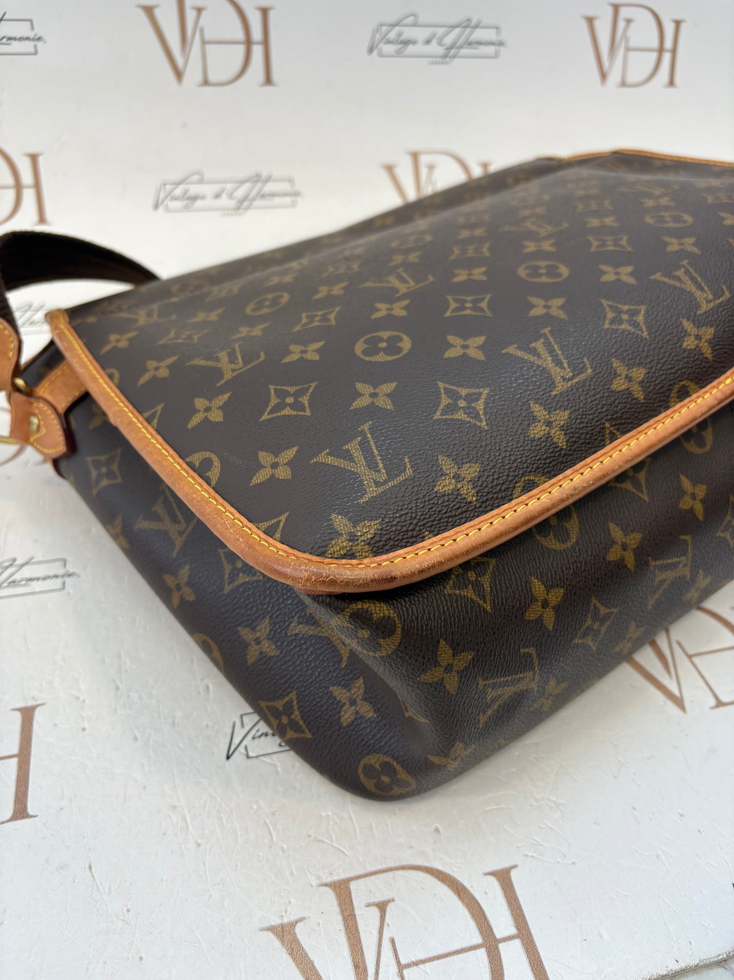 018720 - Louis Vuitton Gibeciere GM