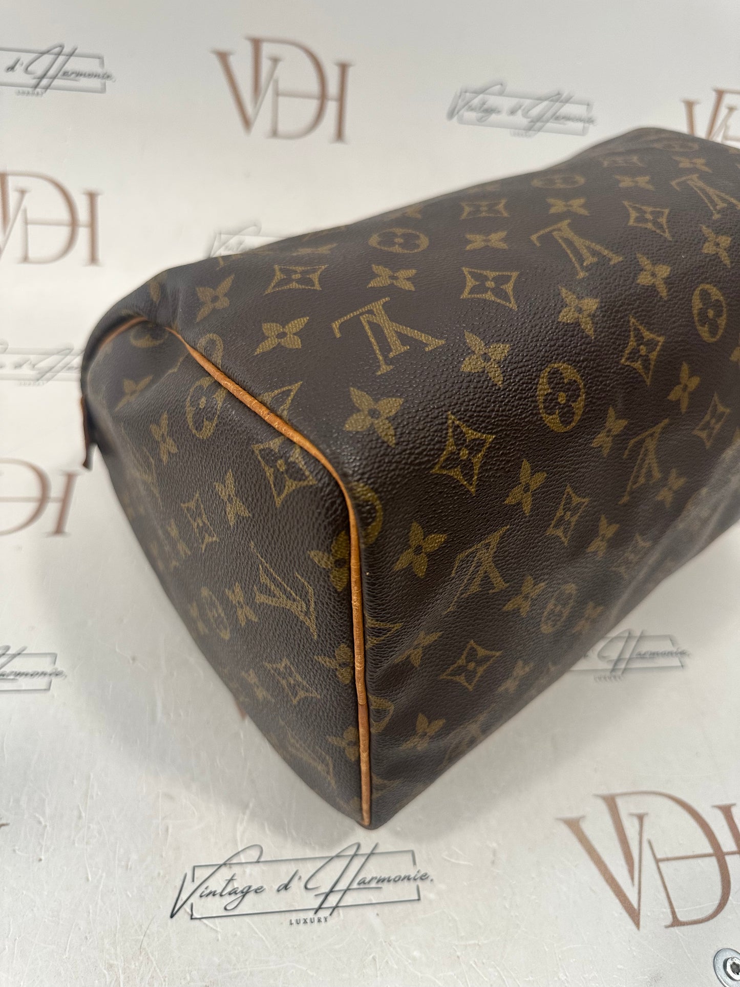 018723 - Louis Vuitton Speedy 30