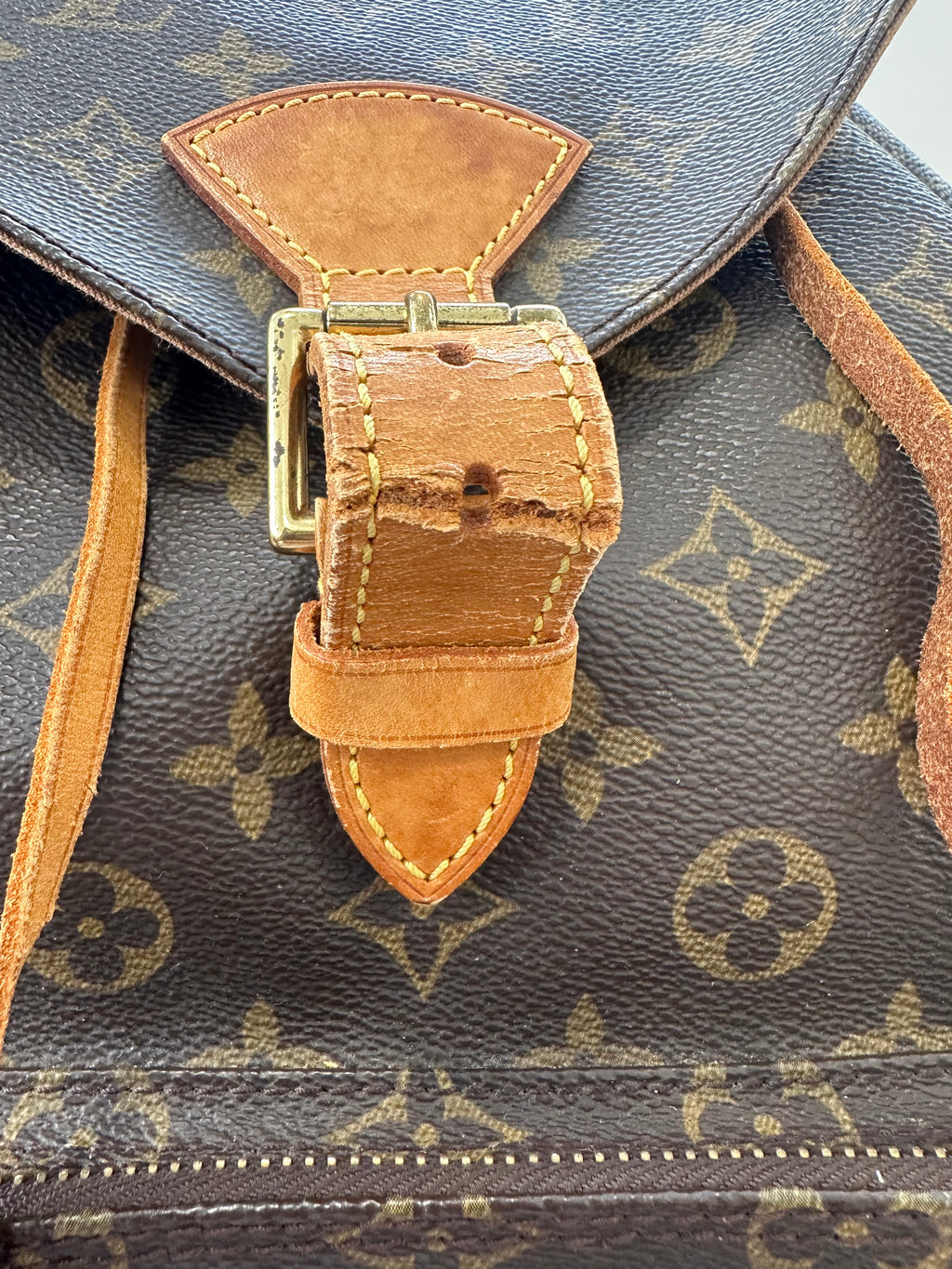 Louis Vuitton Montsouris GM