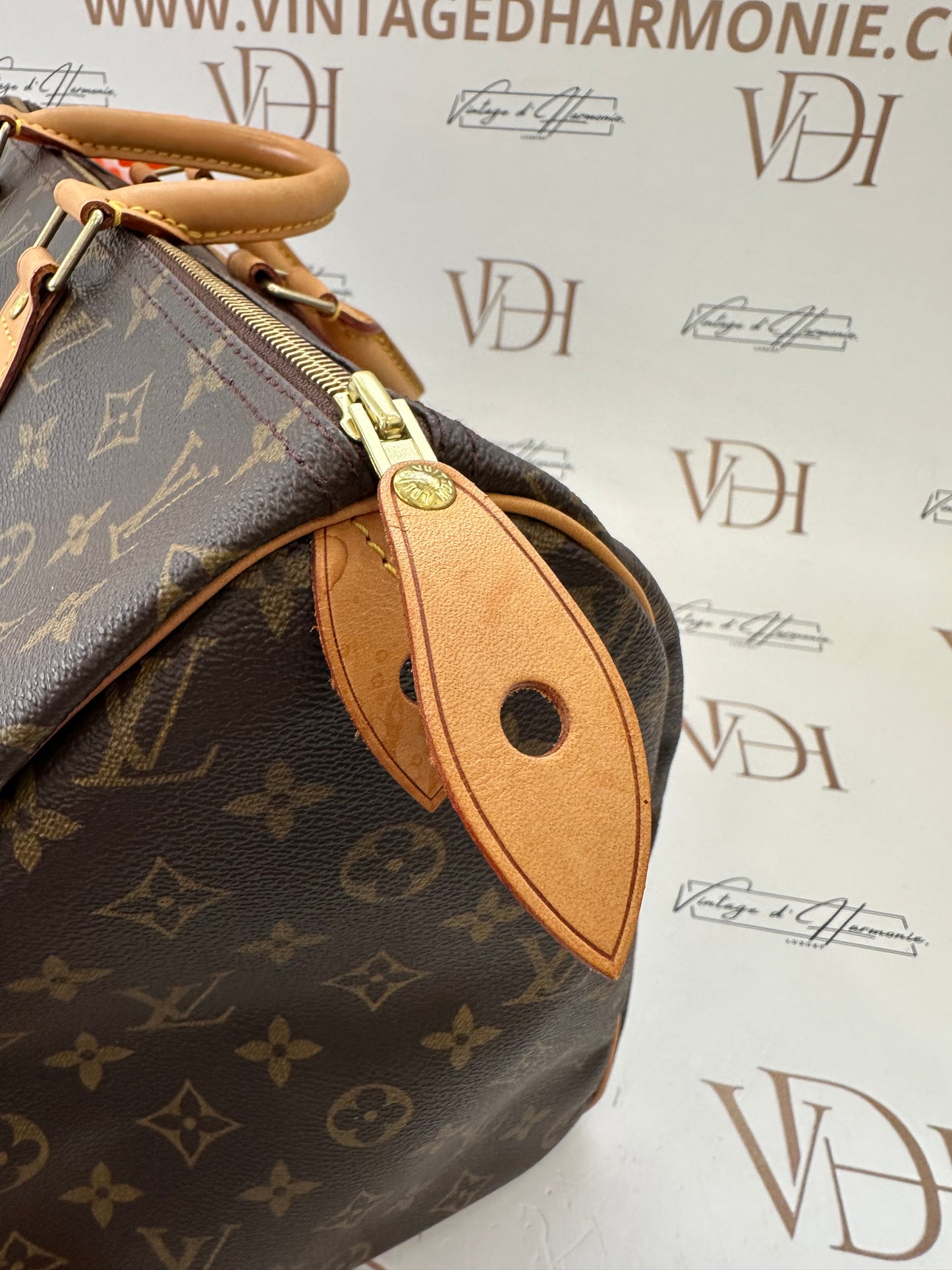017920 - Louis Vuitton Speedy 40