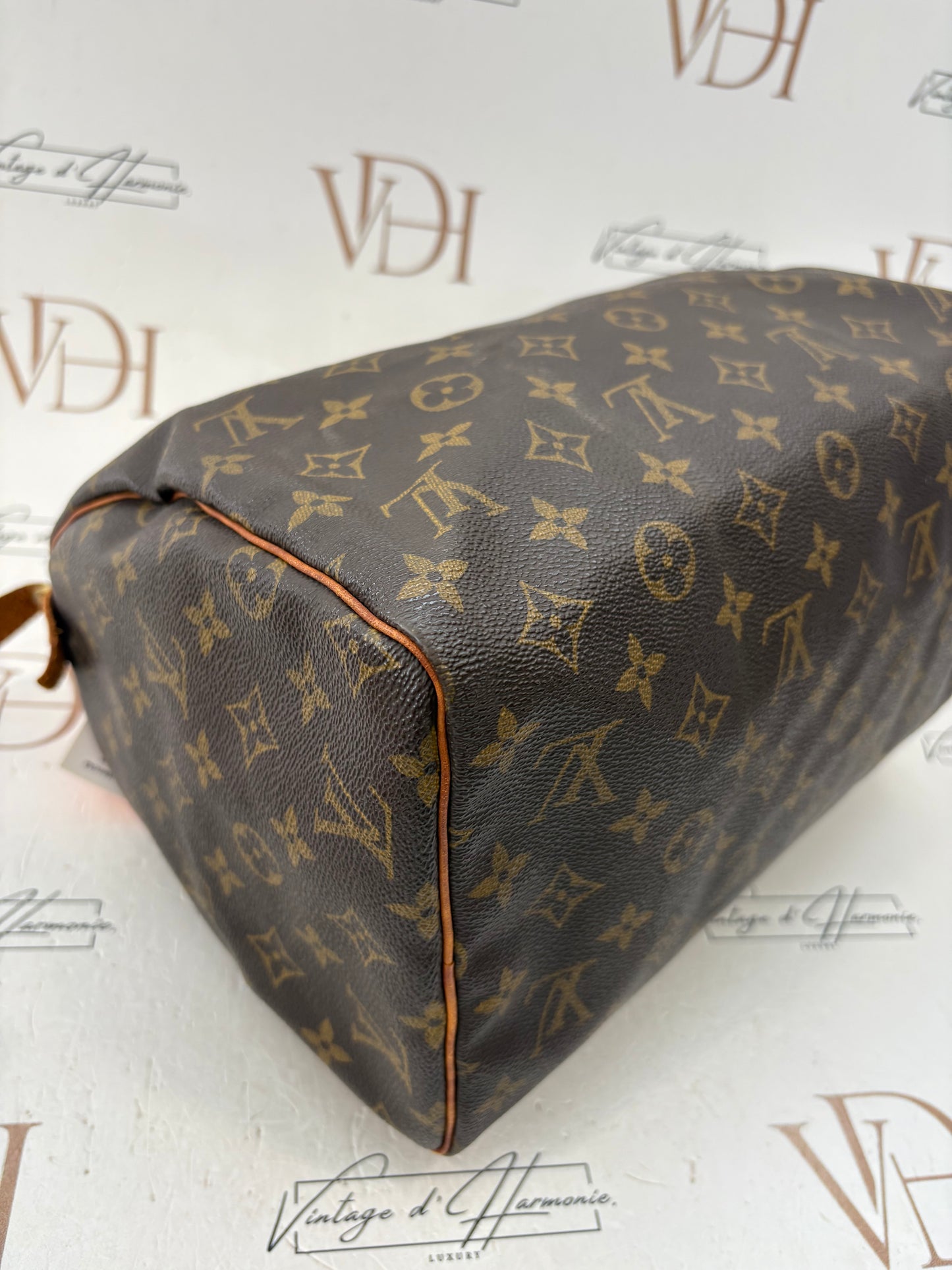 018744 - Louis Vuitton Speedy 30