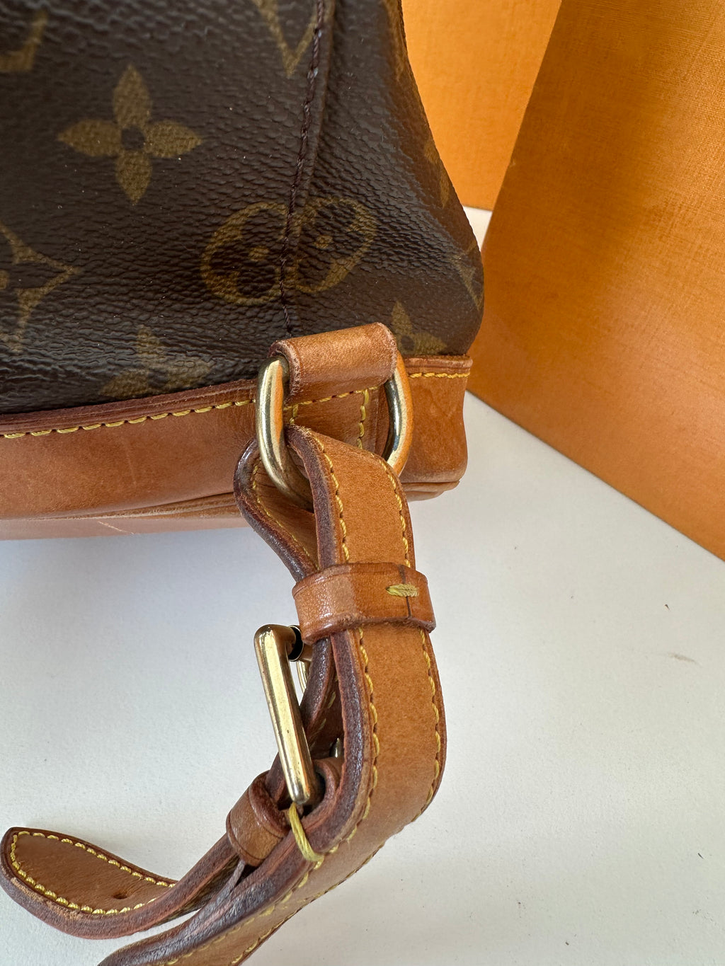 Louis Vuitton Montsouris MM