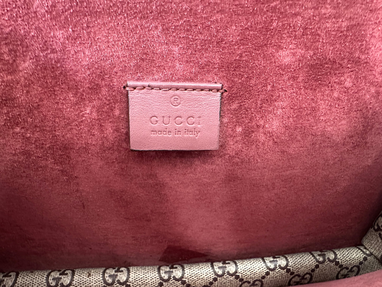 102635 - Gucci Dionysus