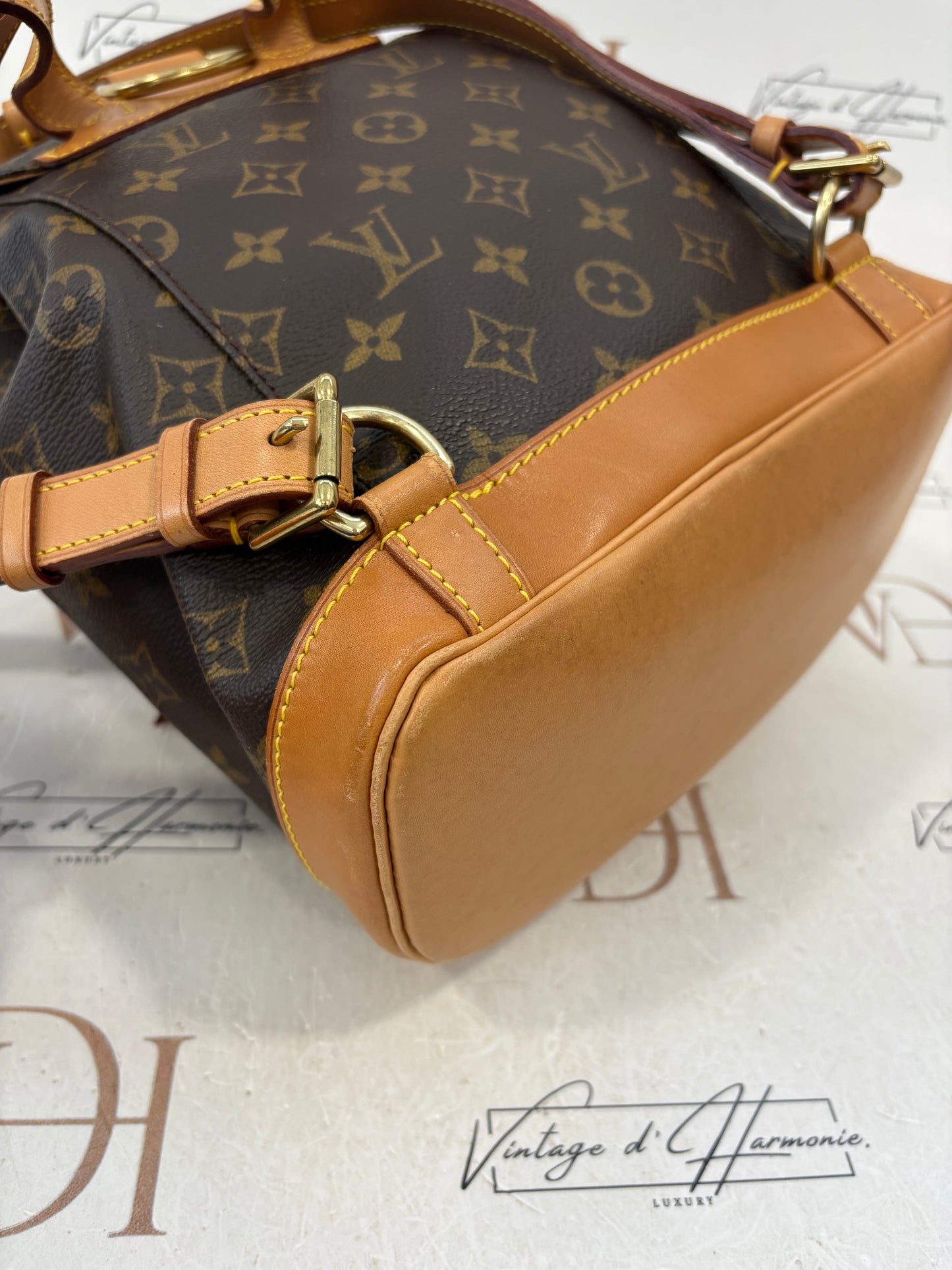 018531 - Louis Vuitton Montsouris MM