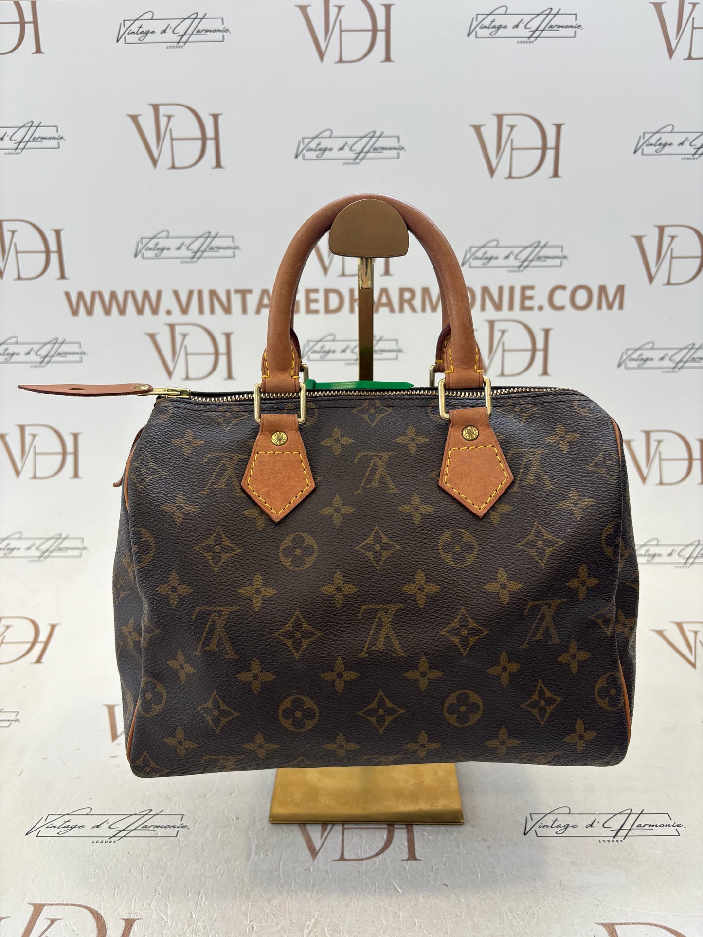 017100 - Louis Vuitton Speedy 25