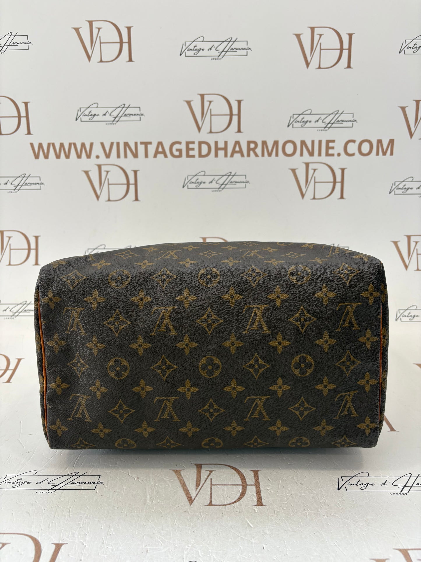 018744 - Louis Vuitton Speedy 30
