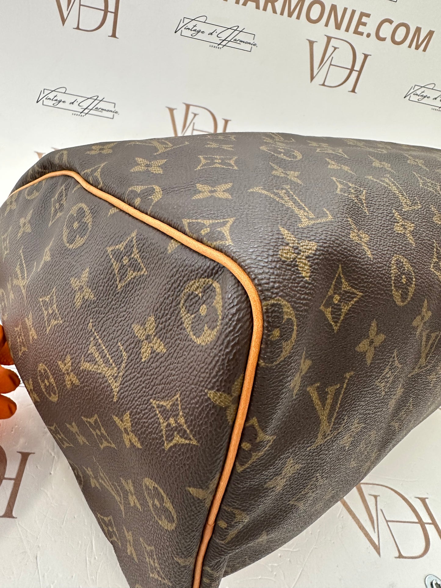 017920 - Louis Vuitton Speedy 40