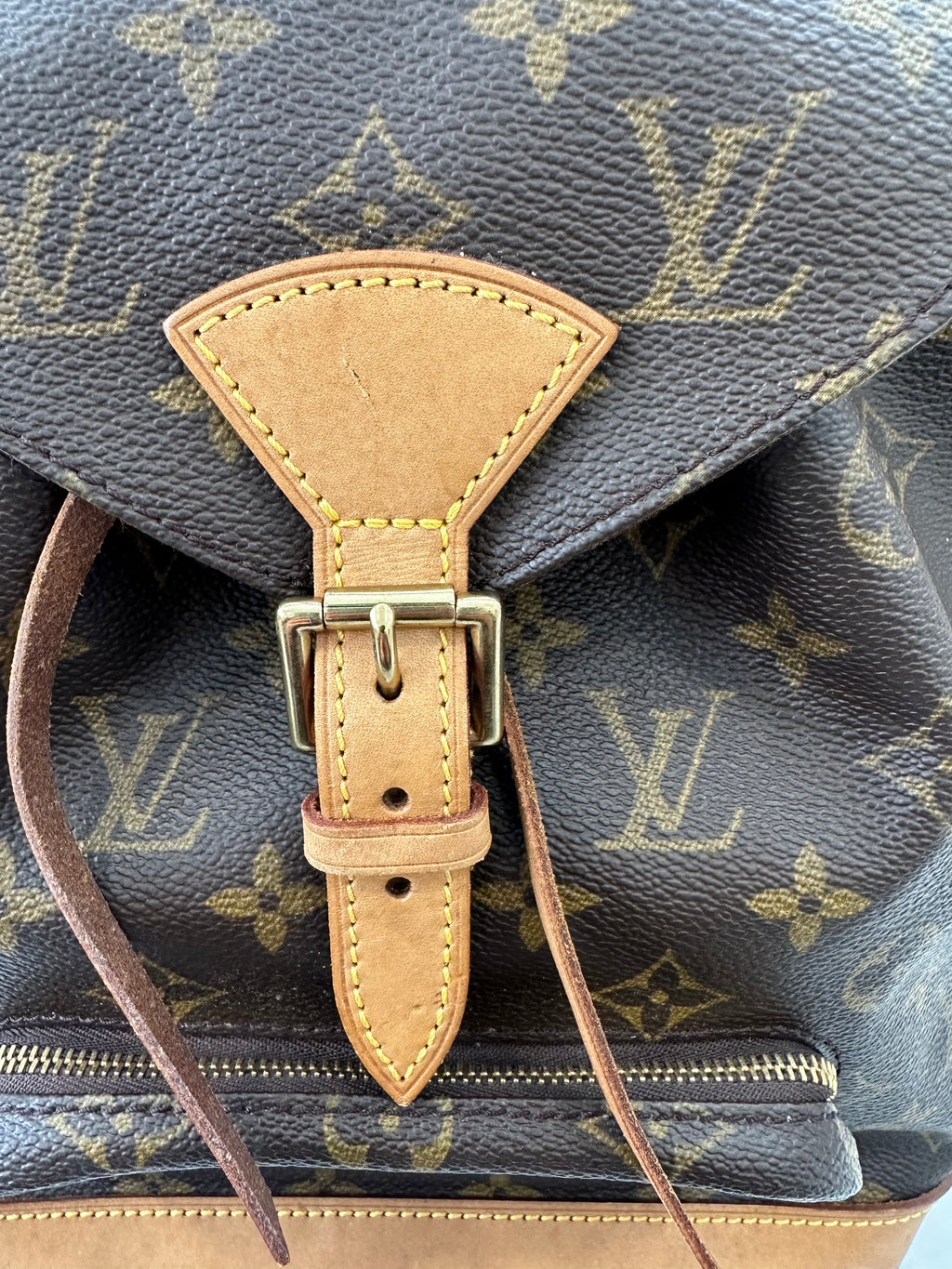 Louis Vuitton Montsouris MM