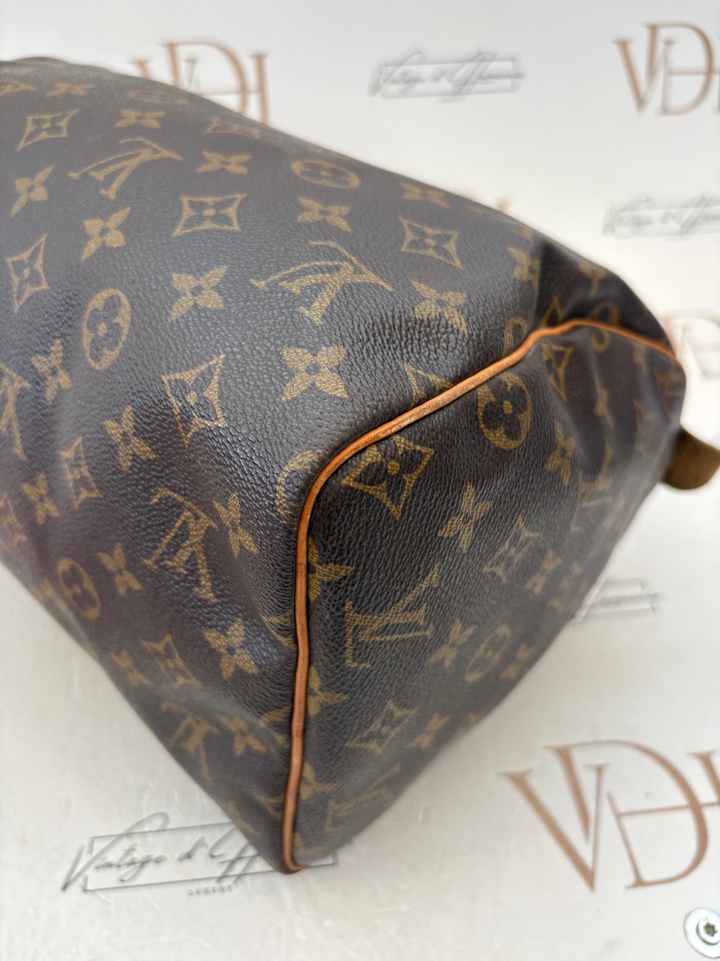 018808 - Louis Vuitton Speedy