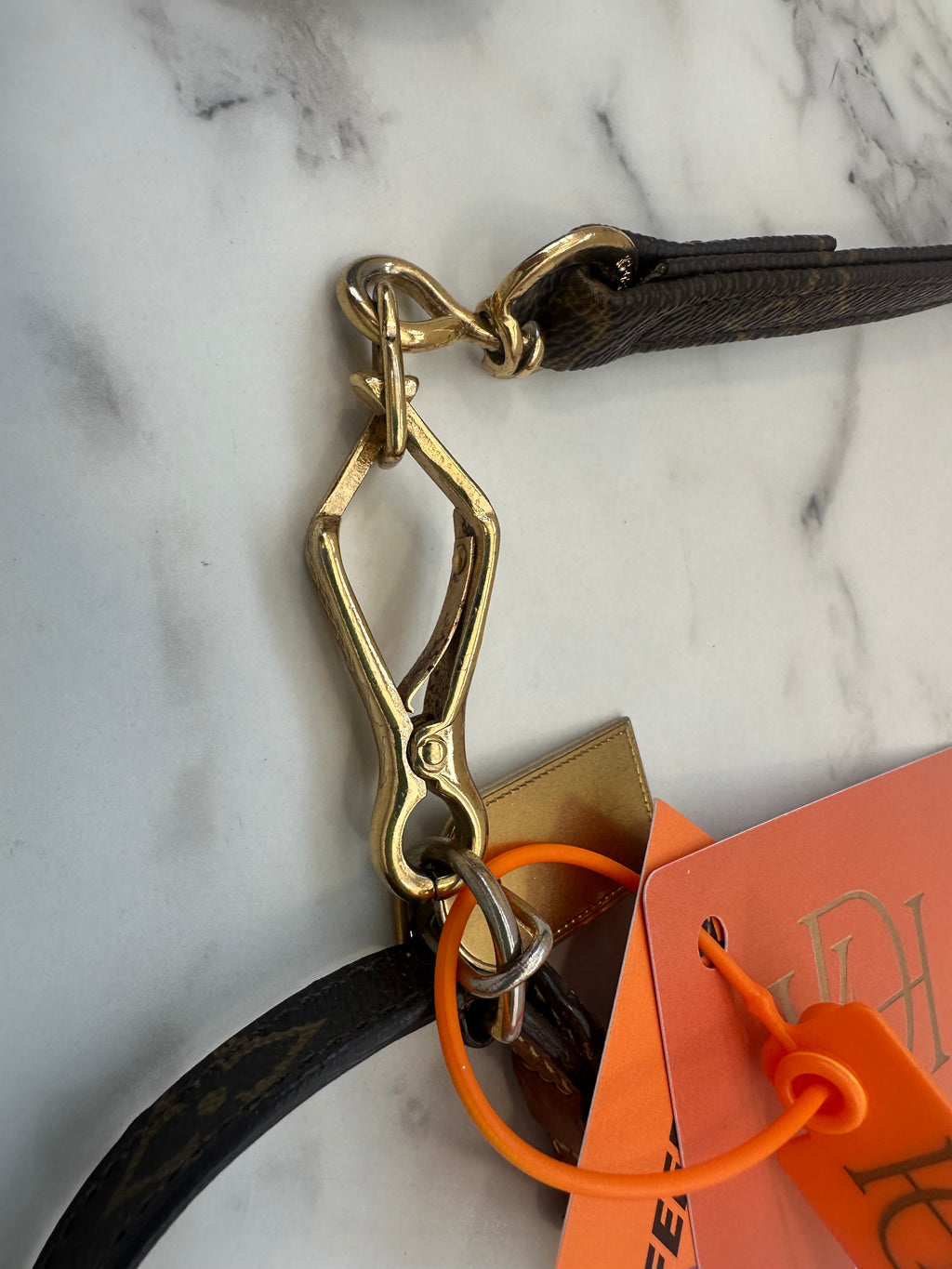 Louis Vuitton Collare+Guinzaglio