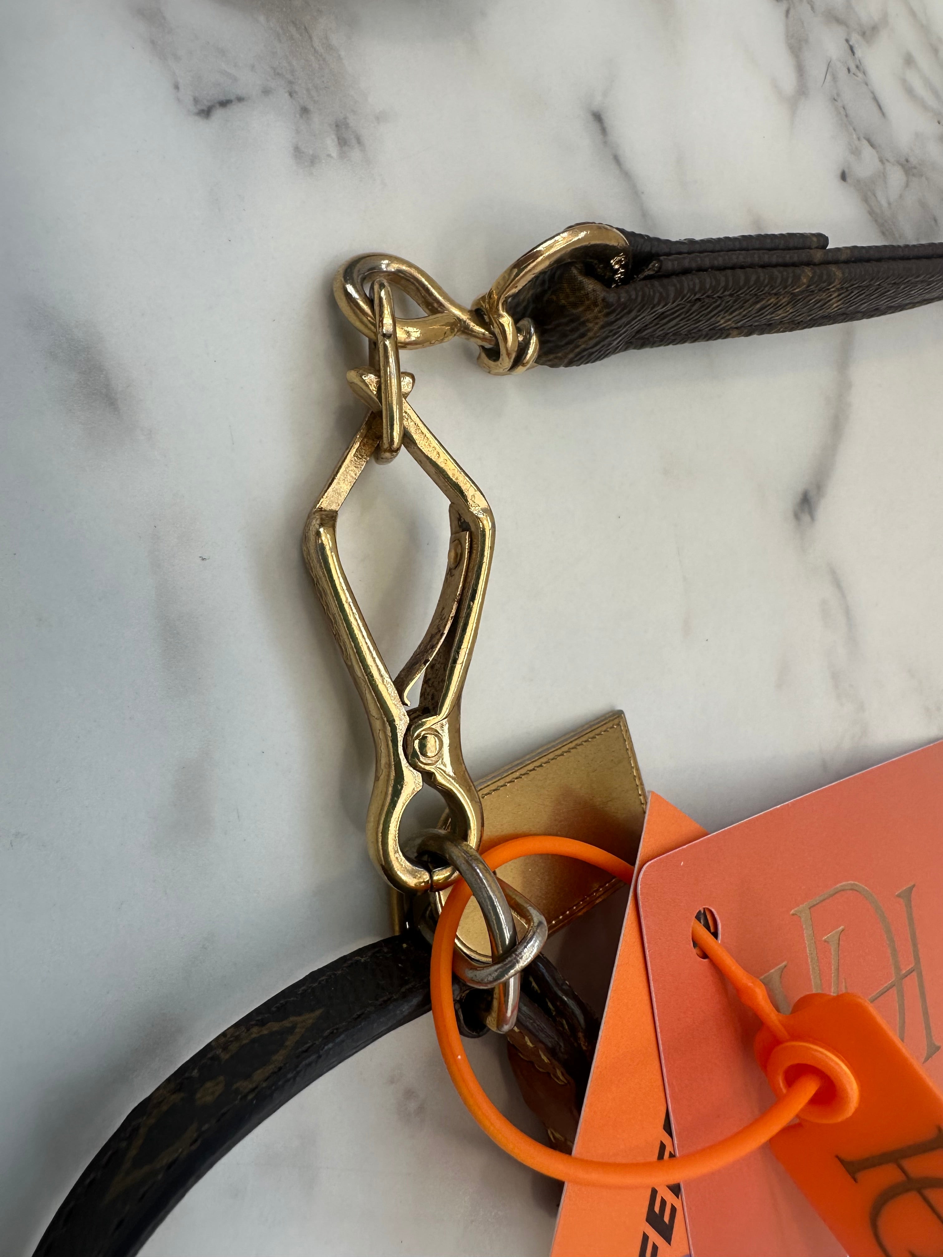 Louis Vuitton Collare+Guinzaglio