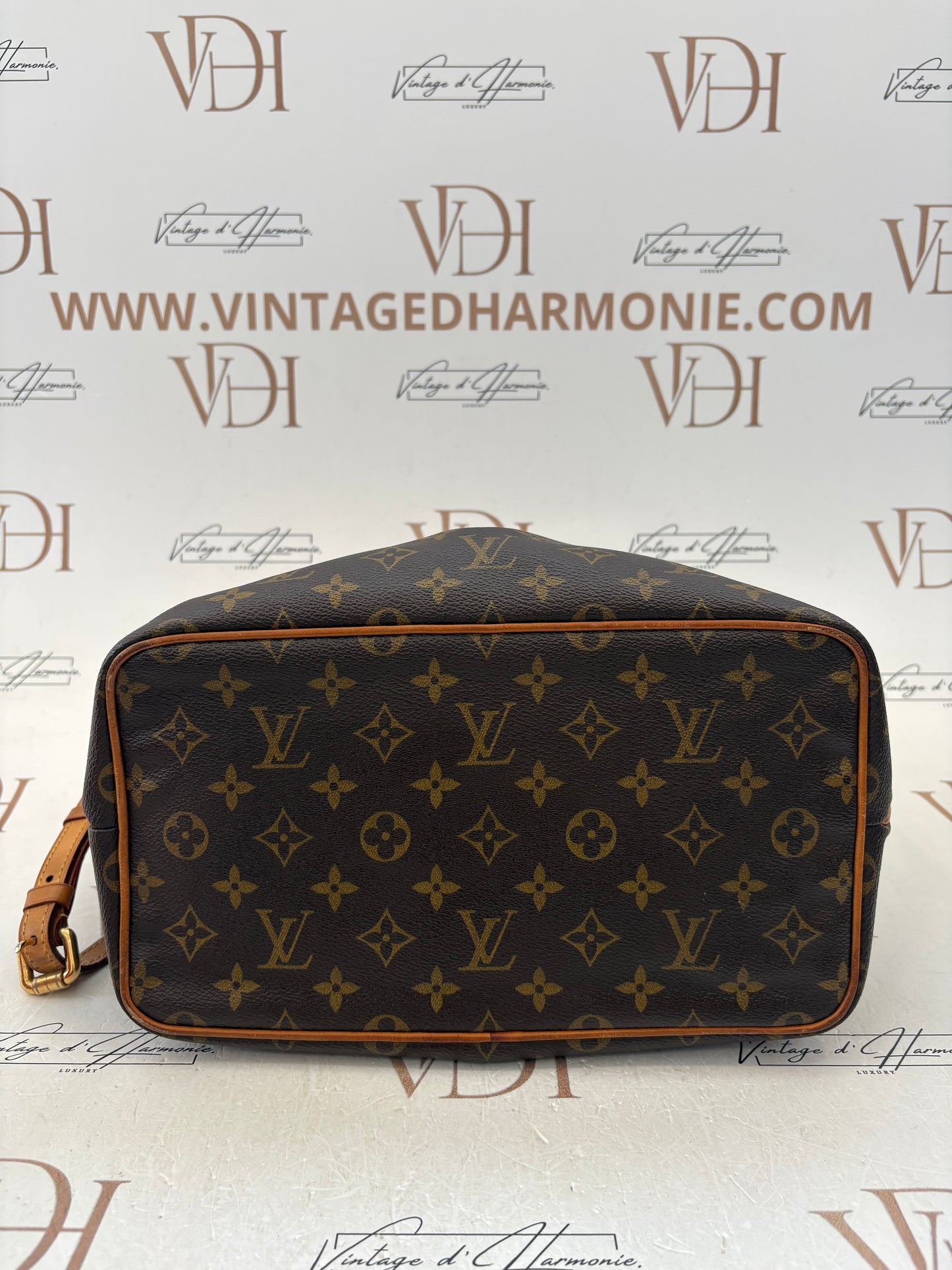 200884 - Louis Vuitton Palermo