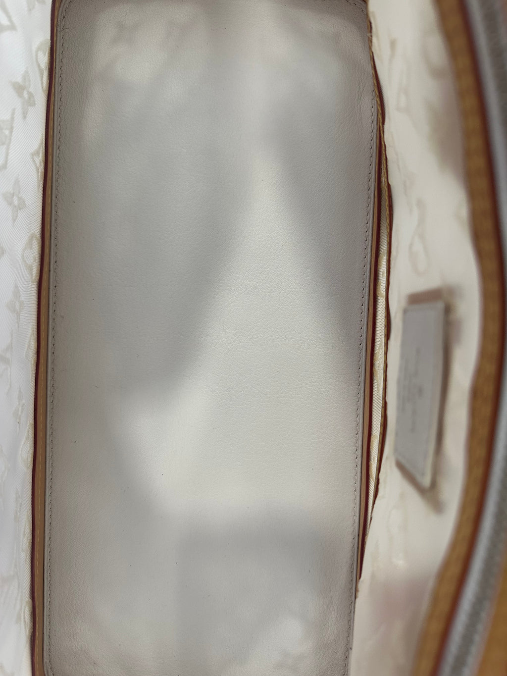 Louis Vuitton Blanc Monogram Transparent lockit east west