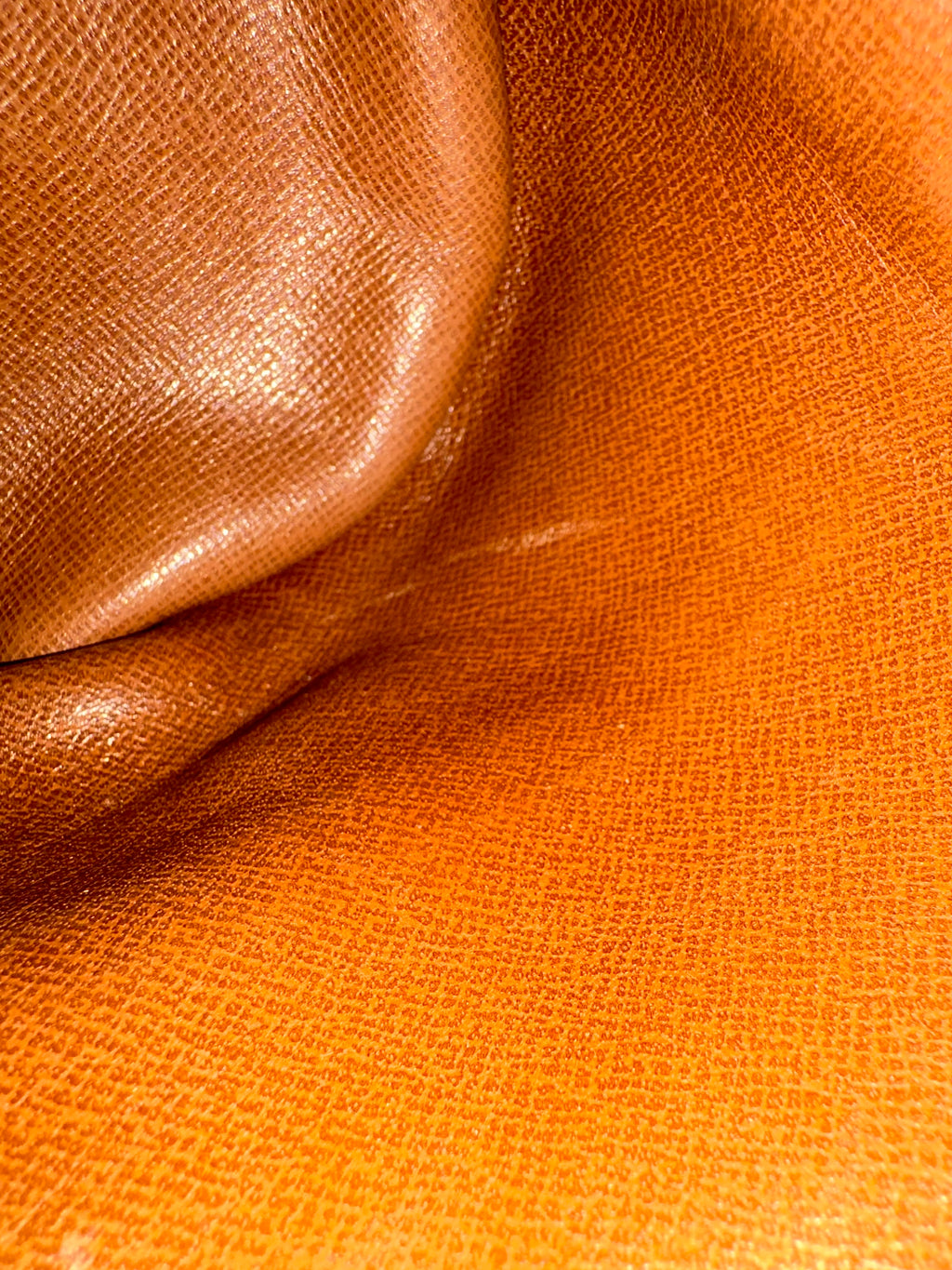 Louis Vuitton Papillon 26