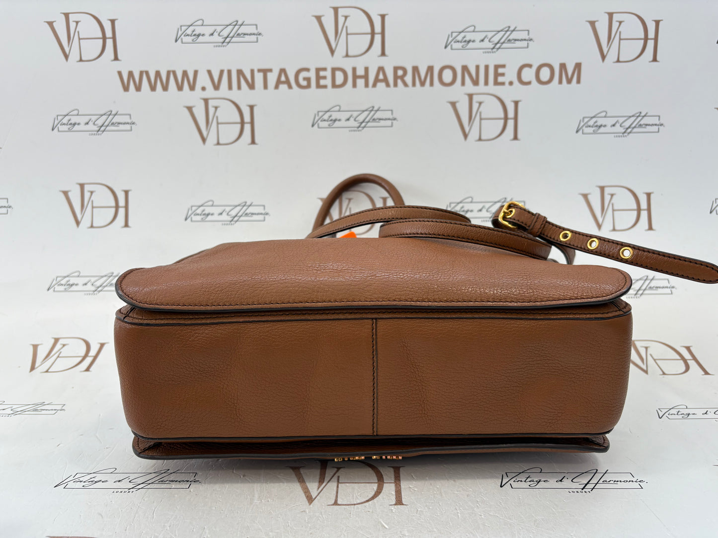 384321 - Miu Miu Brown