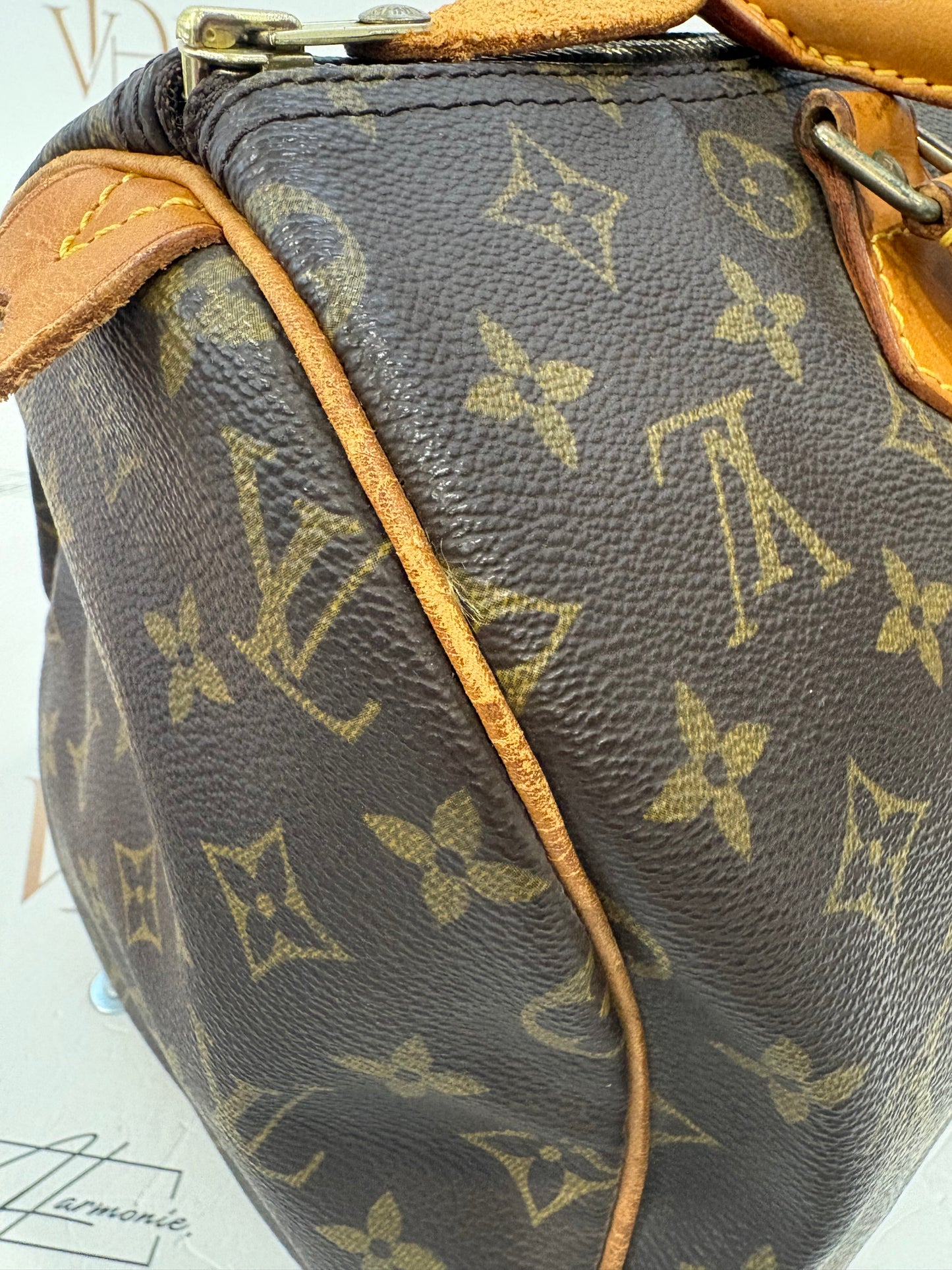 017646 - Louis Vuitton Speedy 30