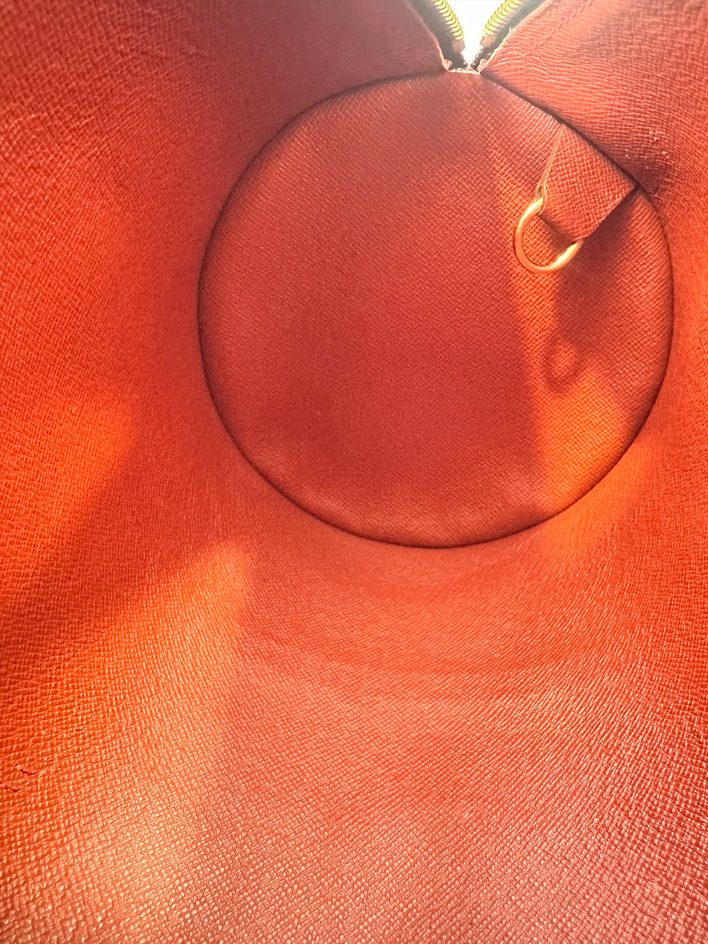 Louis Vuitton Damier Papillon 30