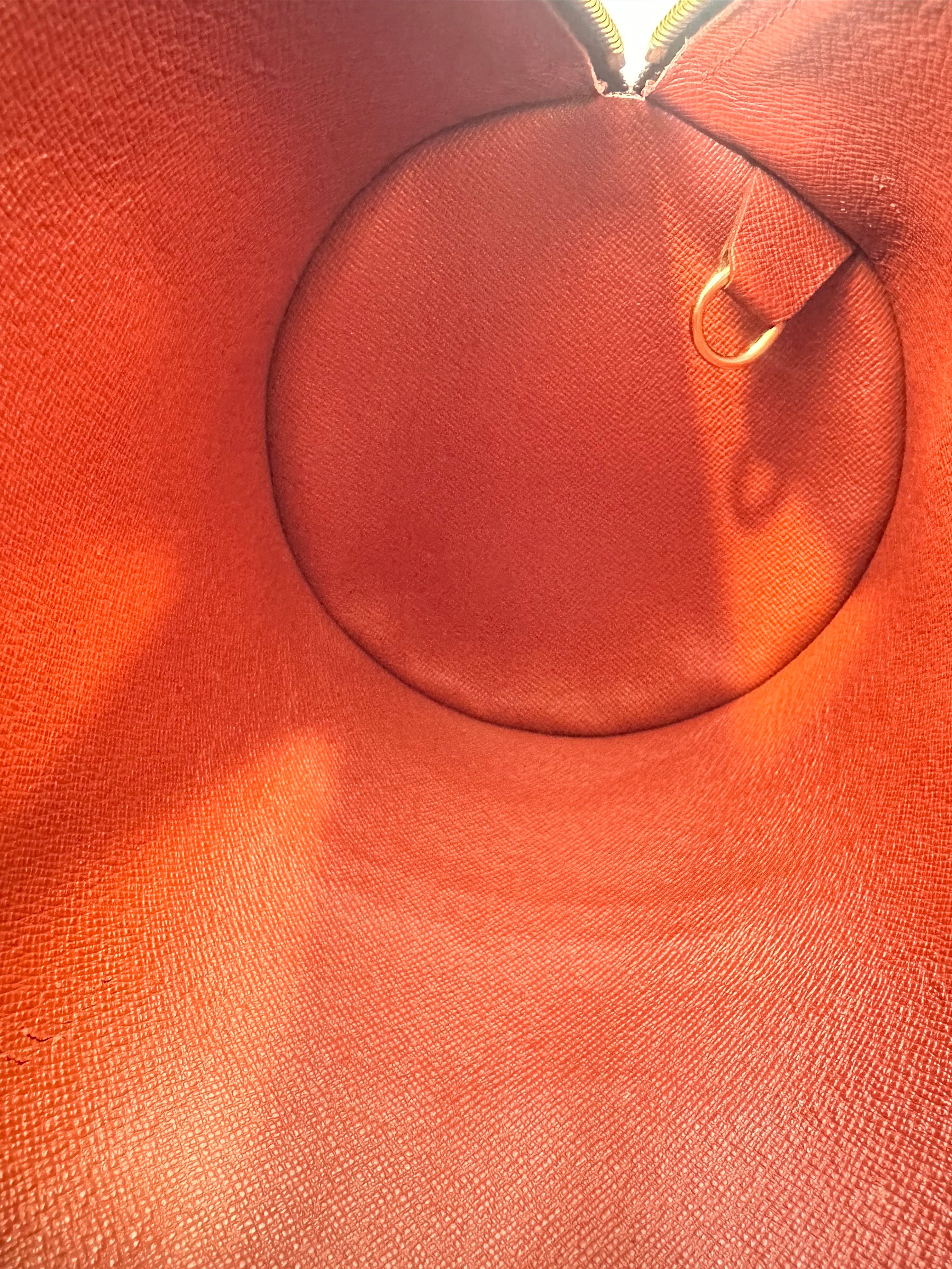 Louis Vuitton Damier Papillon 30