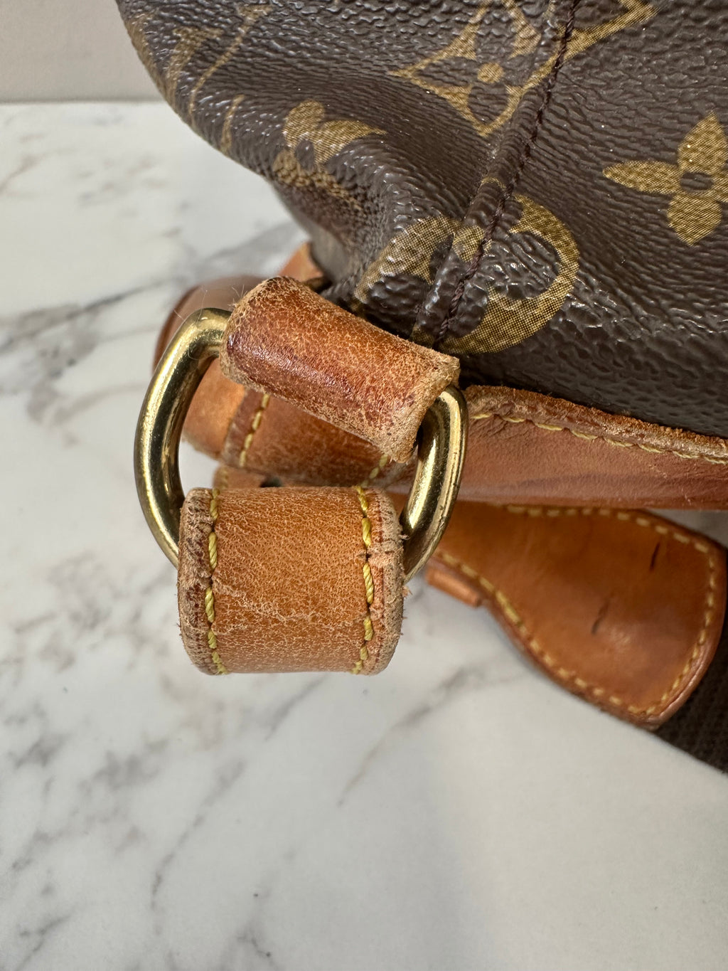 Louis Vuitton Montsouris GM