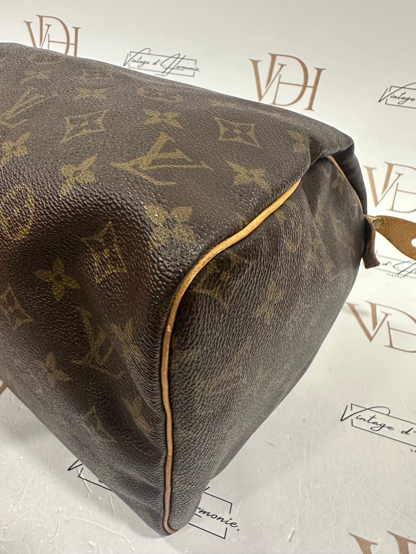 017724 - Louis Vuitton Speedy 30